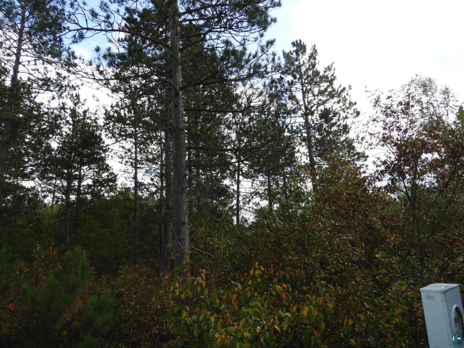 1765 E Wilderness Ct, Barnes, WI 54873 Listing Photo  3