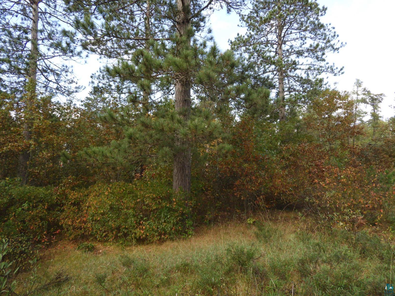 1765 E Wilderness Ct, Barnes, WI 54873 Listing Photo  5