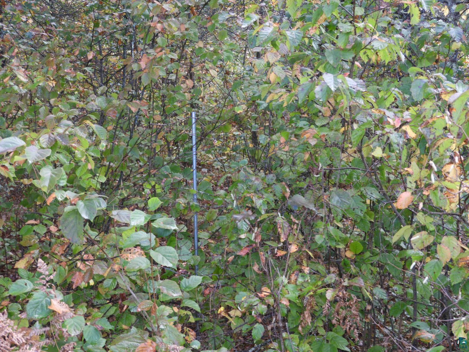 1765 E Wilderness Ct, Barnes, WI 54873 Listing Photo  6