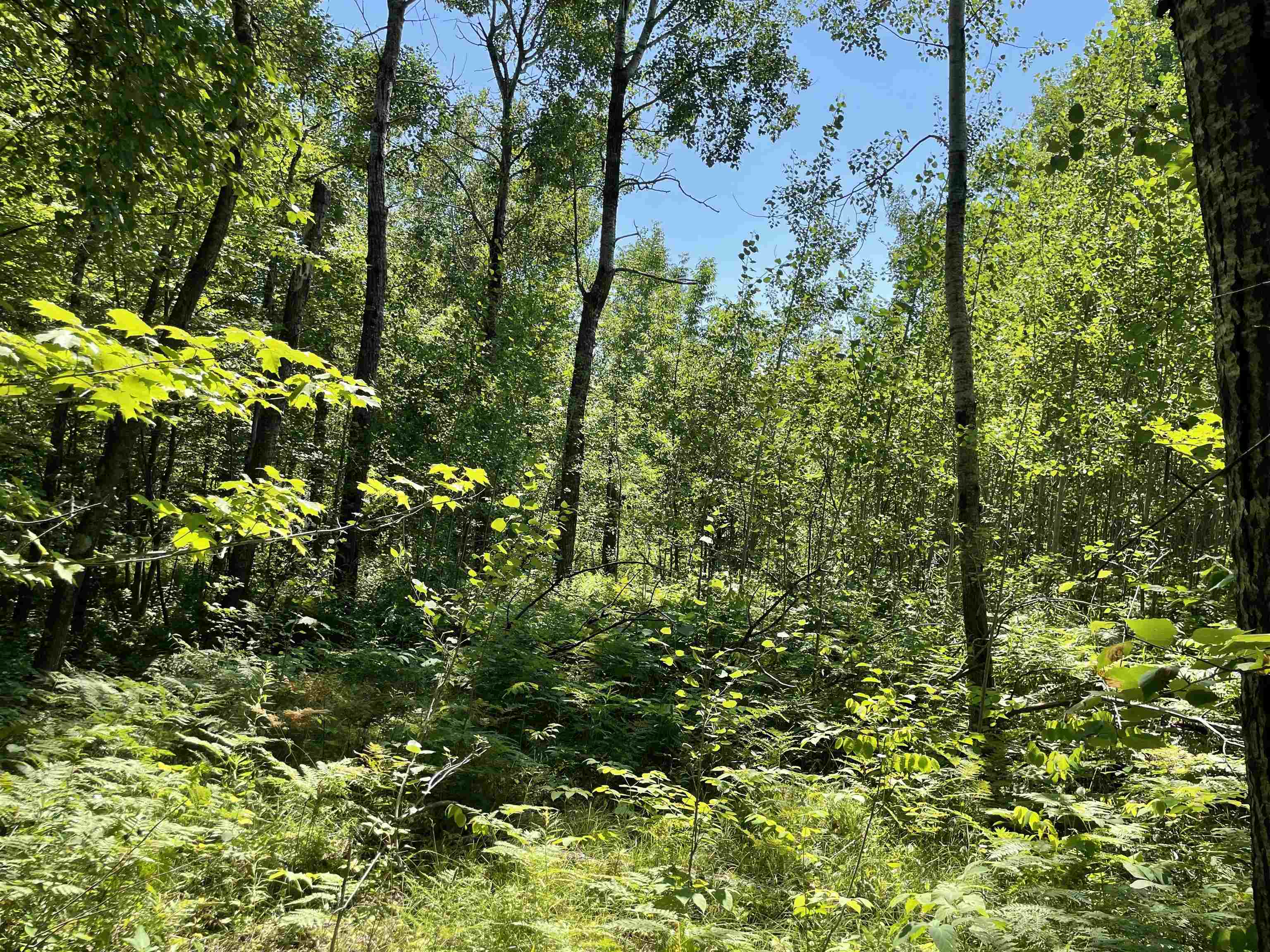 XXXX E St. Louis River Rd, Esko, MN 55733 499,900 Lots & Land Active