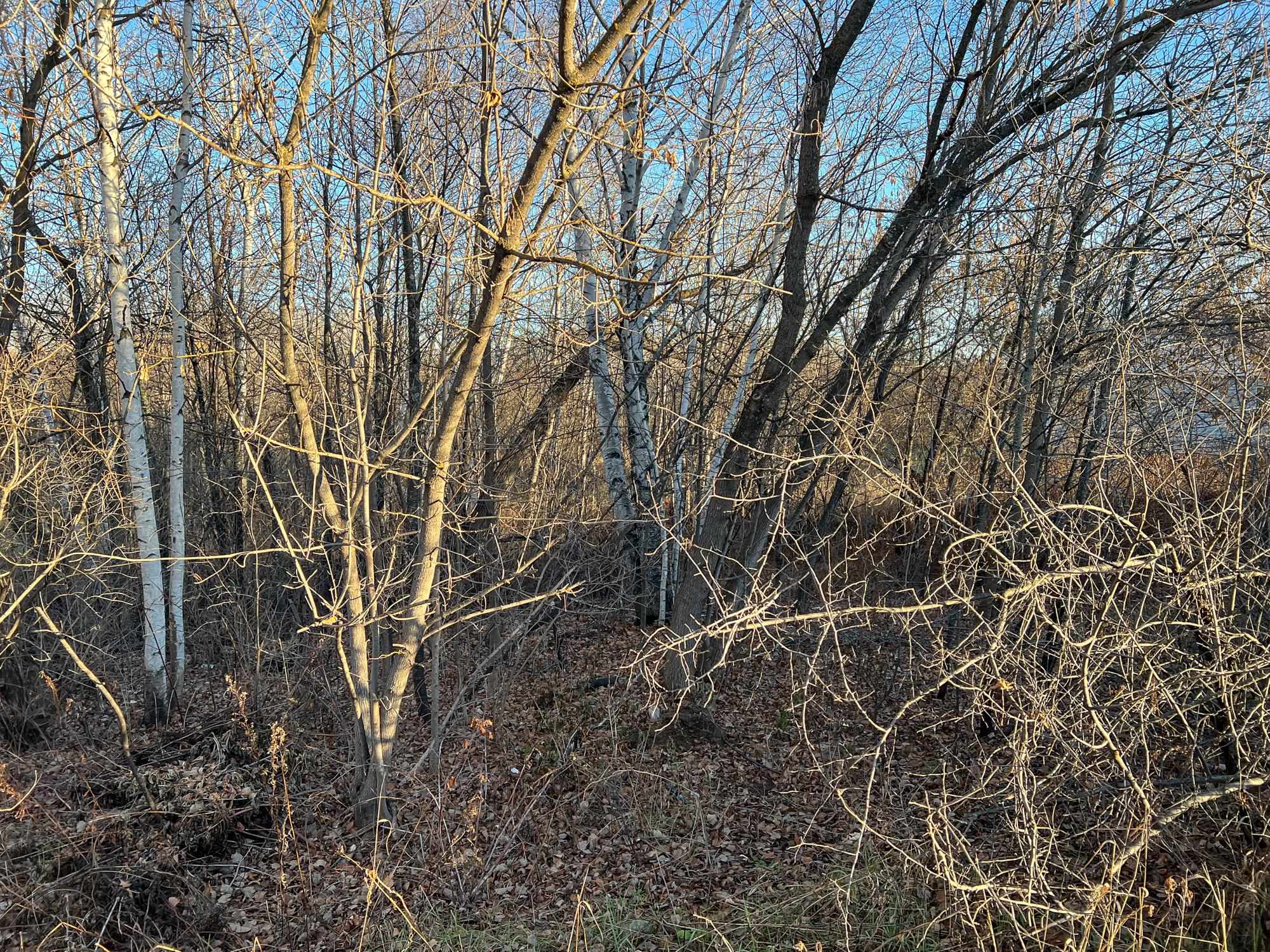 XTBDxxx 1st Ave S, Kelly Lake, MN 55746 25,000 Lots & Land Active