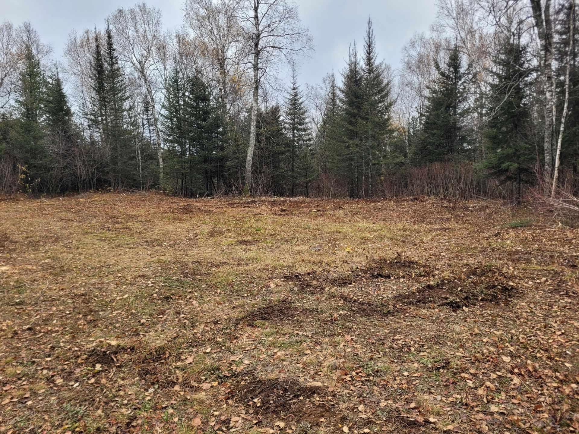 Lots and Land for sale in Finland, Minnesota, 6111732