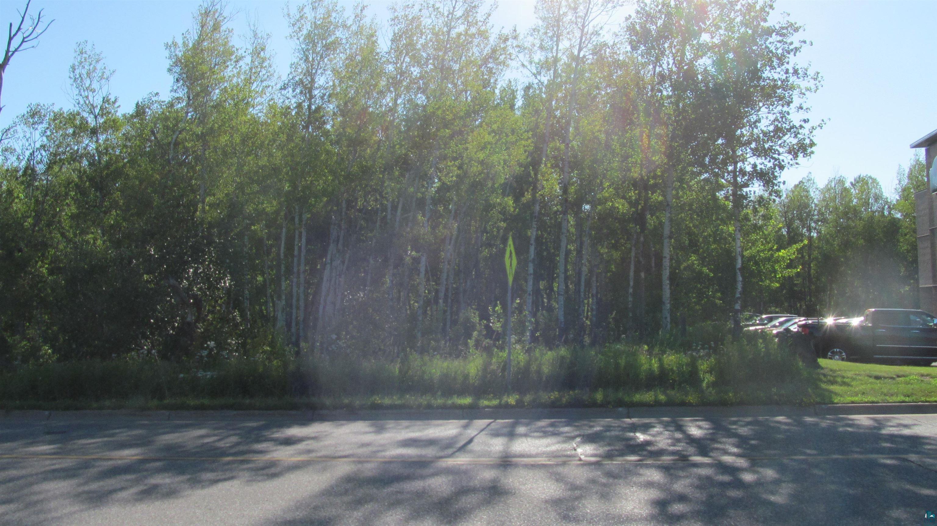 xxxx Maple Grove Rd, Duluth, MN 55811 Listing Photo  9