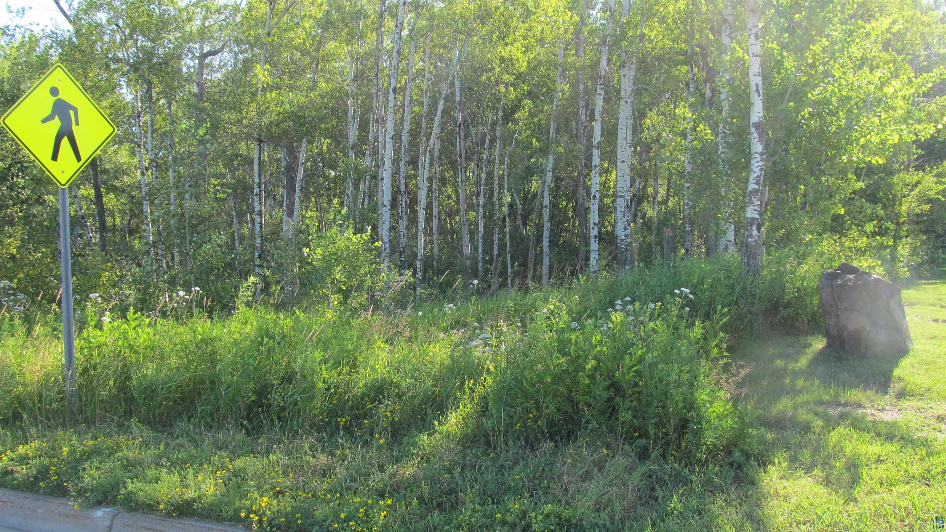 xxxx Maple Grove Rd, Duluth, MN 55811 Listing Photo  5