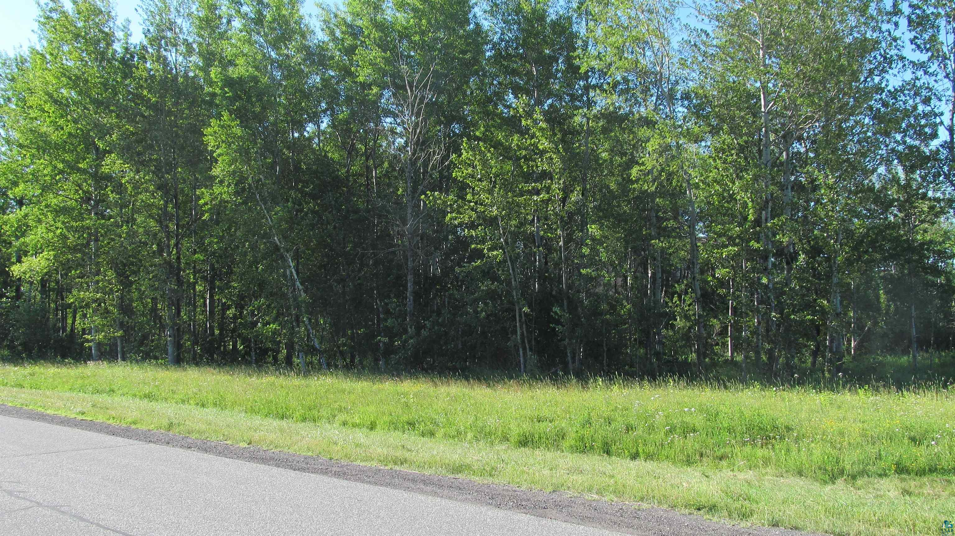 xxxx Maple Grove Rd, Duluth, MN 55811 Listing Photo  6