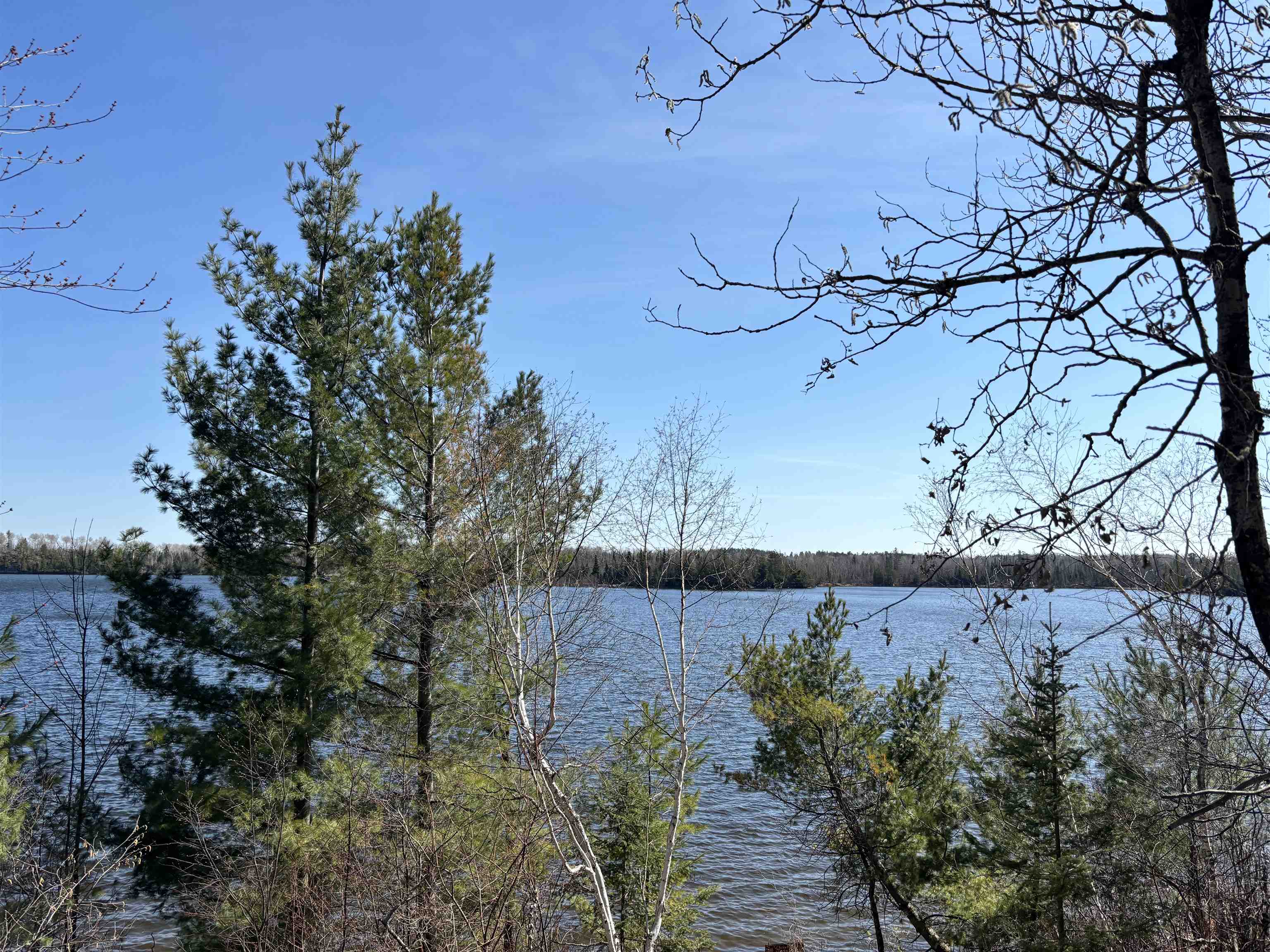 xxx Grant McMahan Blvd for sale in Ely, Minnesota, MLS ID 6112994 Bear