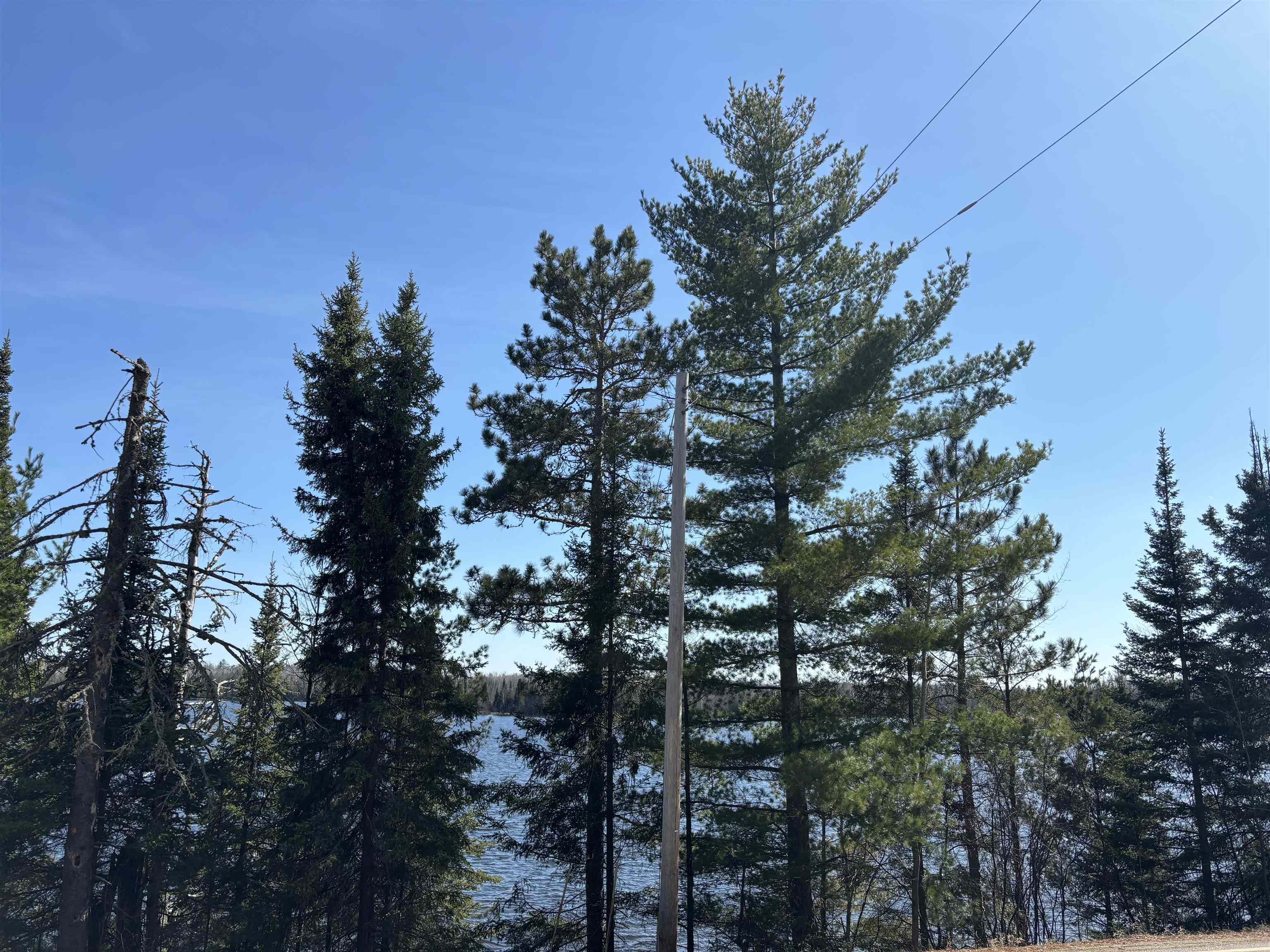 xxx Grant McMahan Blvd for sale in Ely, Minnesota, MLS ID 6112994 Bear