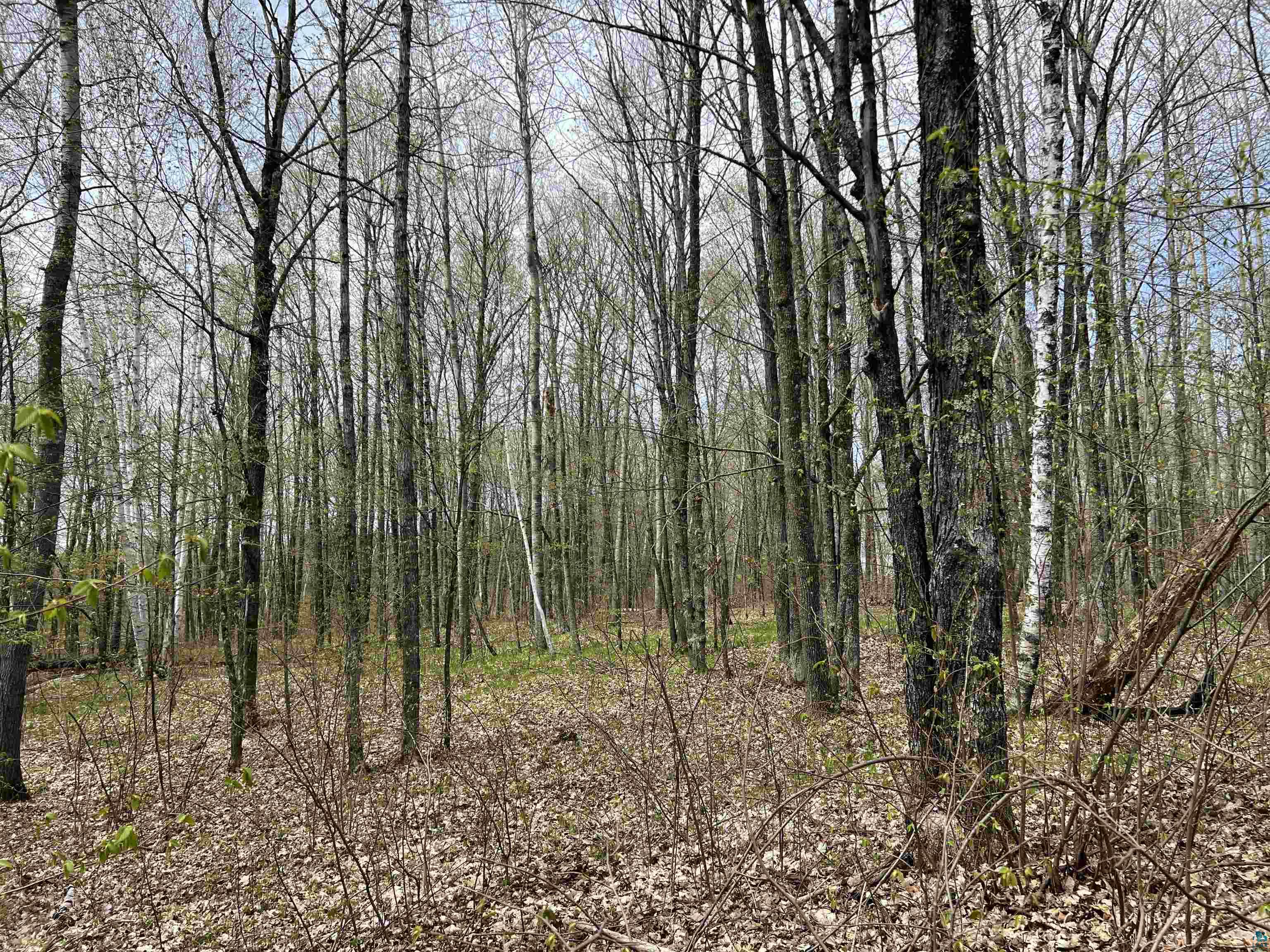 xxx County Hwy D, Grand View, WI 54839 Listing Photo  3
