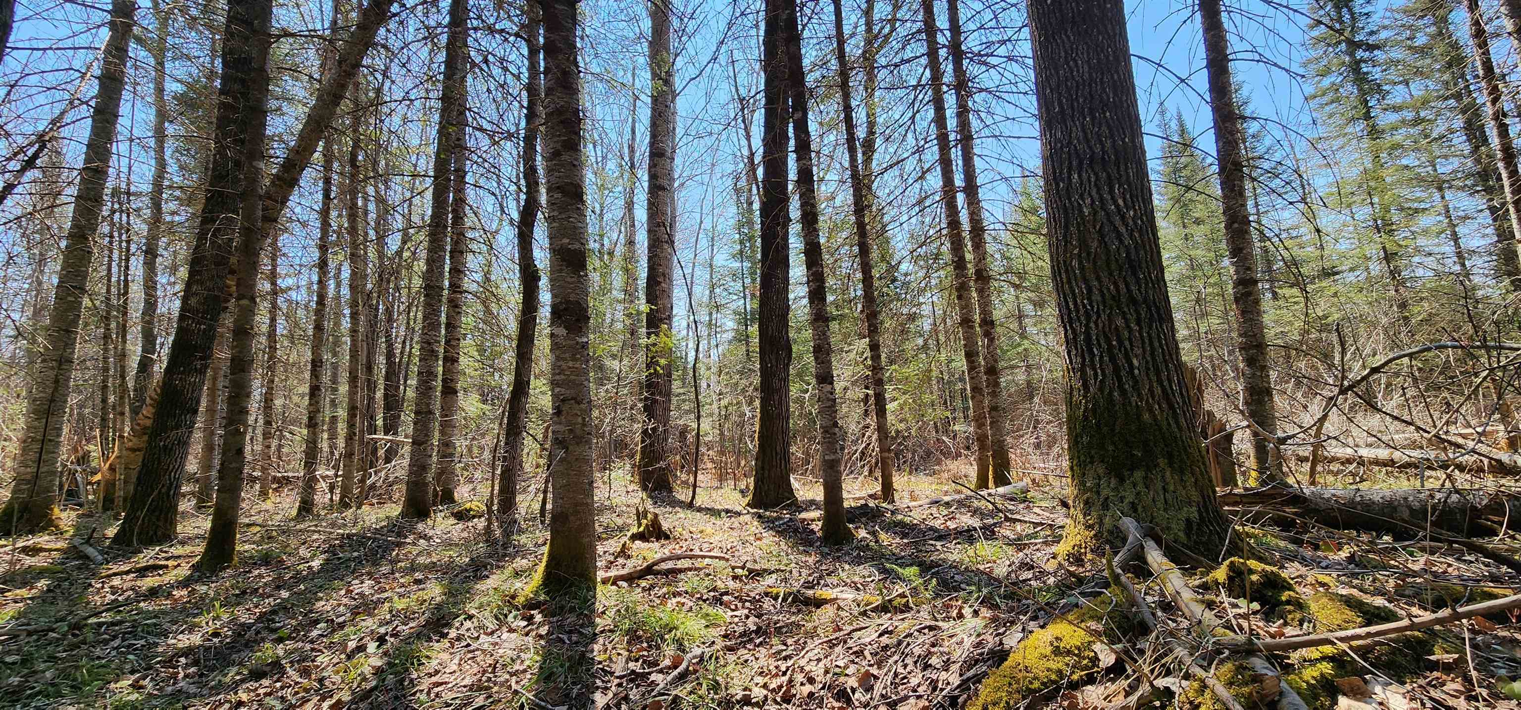 Lots and Land for sale in Lutsen, Minnesota, 6113922