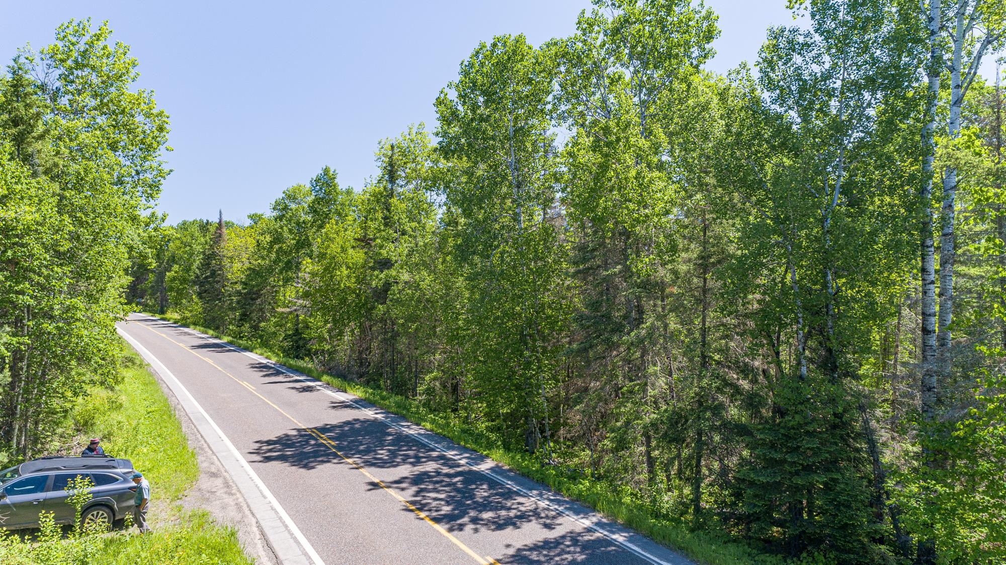 Real Estate in Ely, MN Bear Island Realty