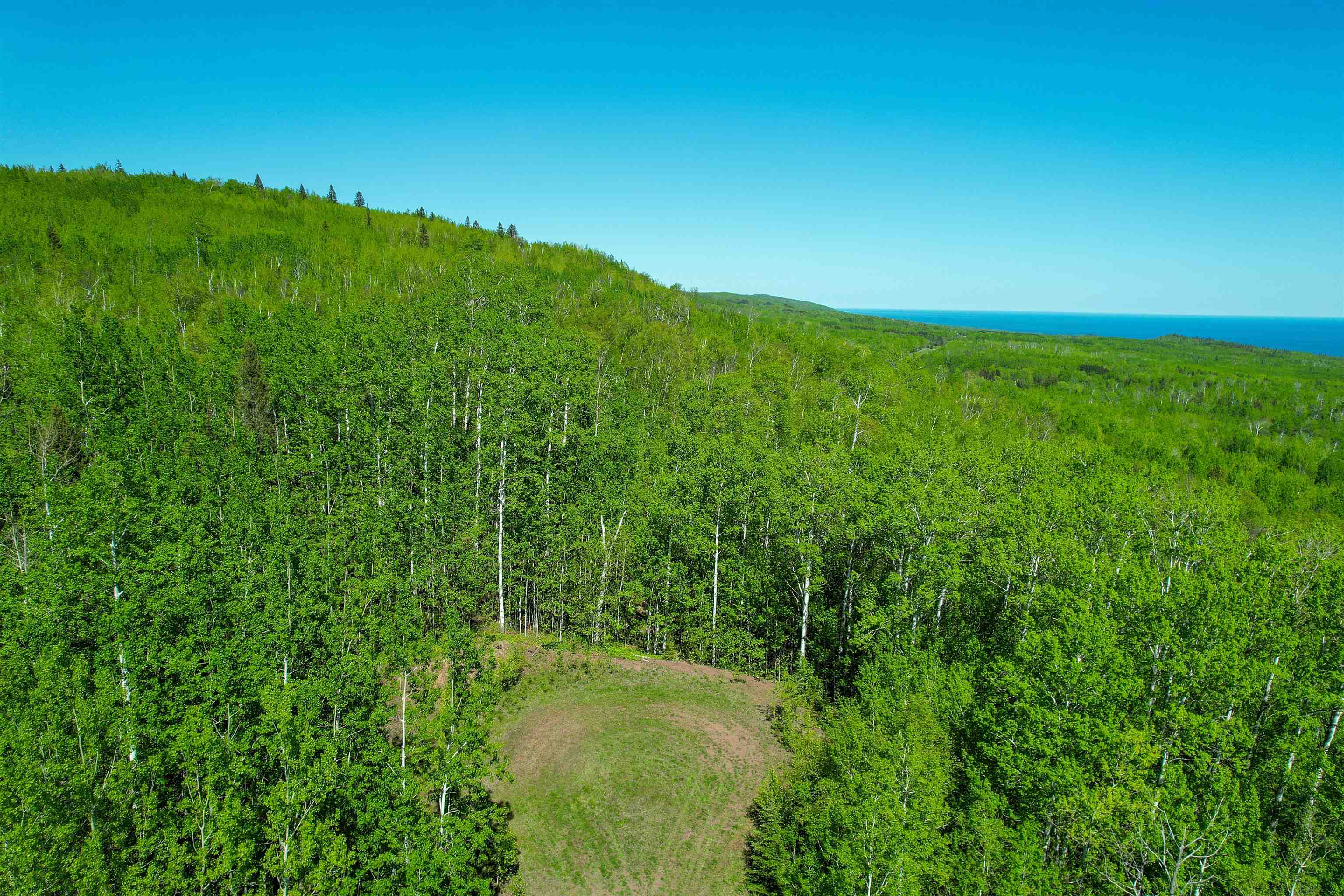 1X MOUNTAIN TRAIL, GRAND MARAIS, MN 55604 Janisch Realty