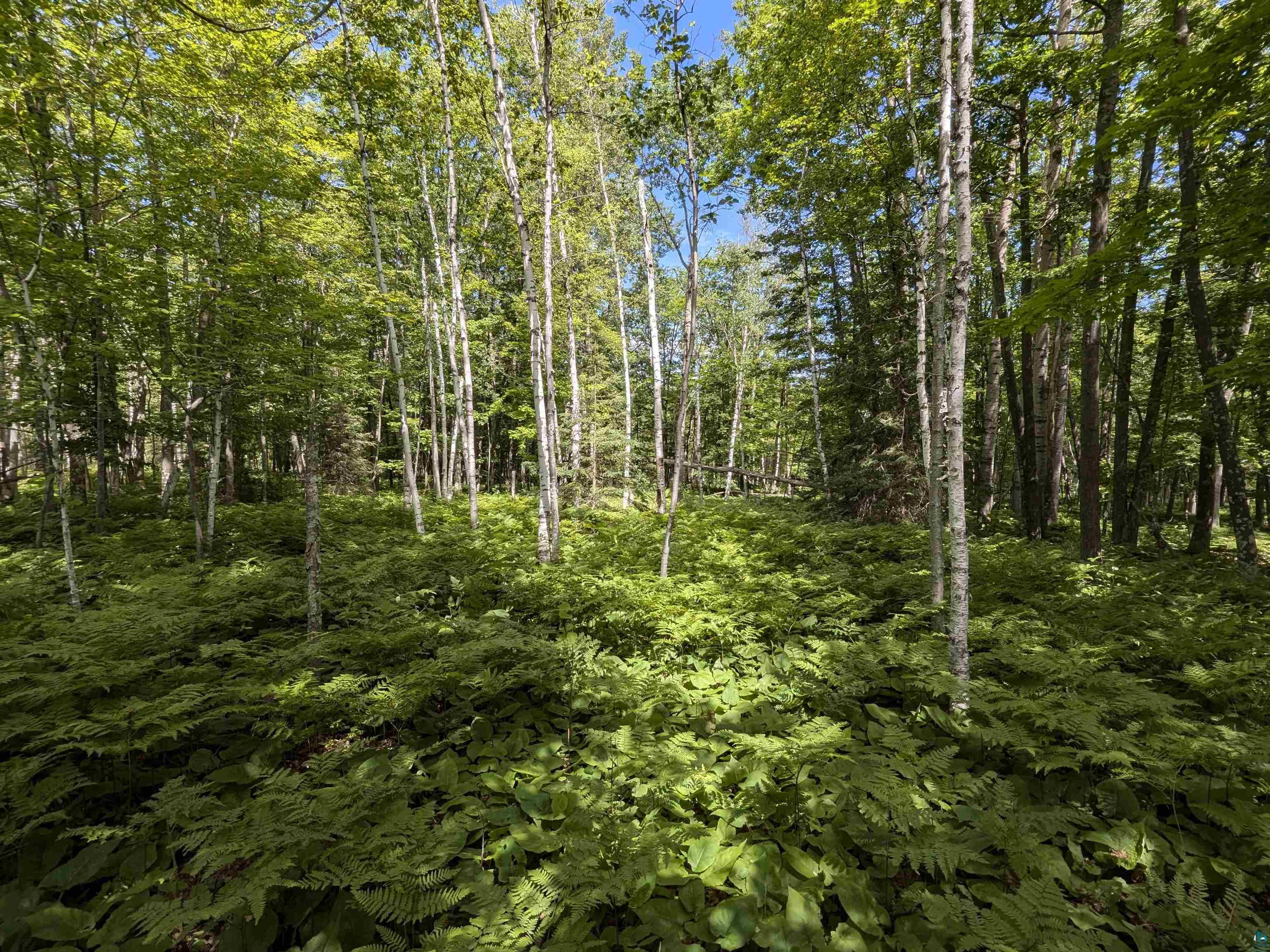 1xxxx State Highway 13, Port Wing, WI 54865 Listing Photo  2