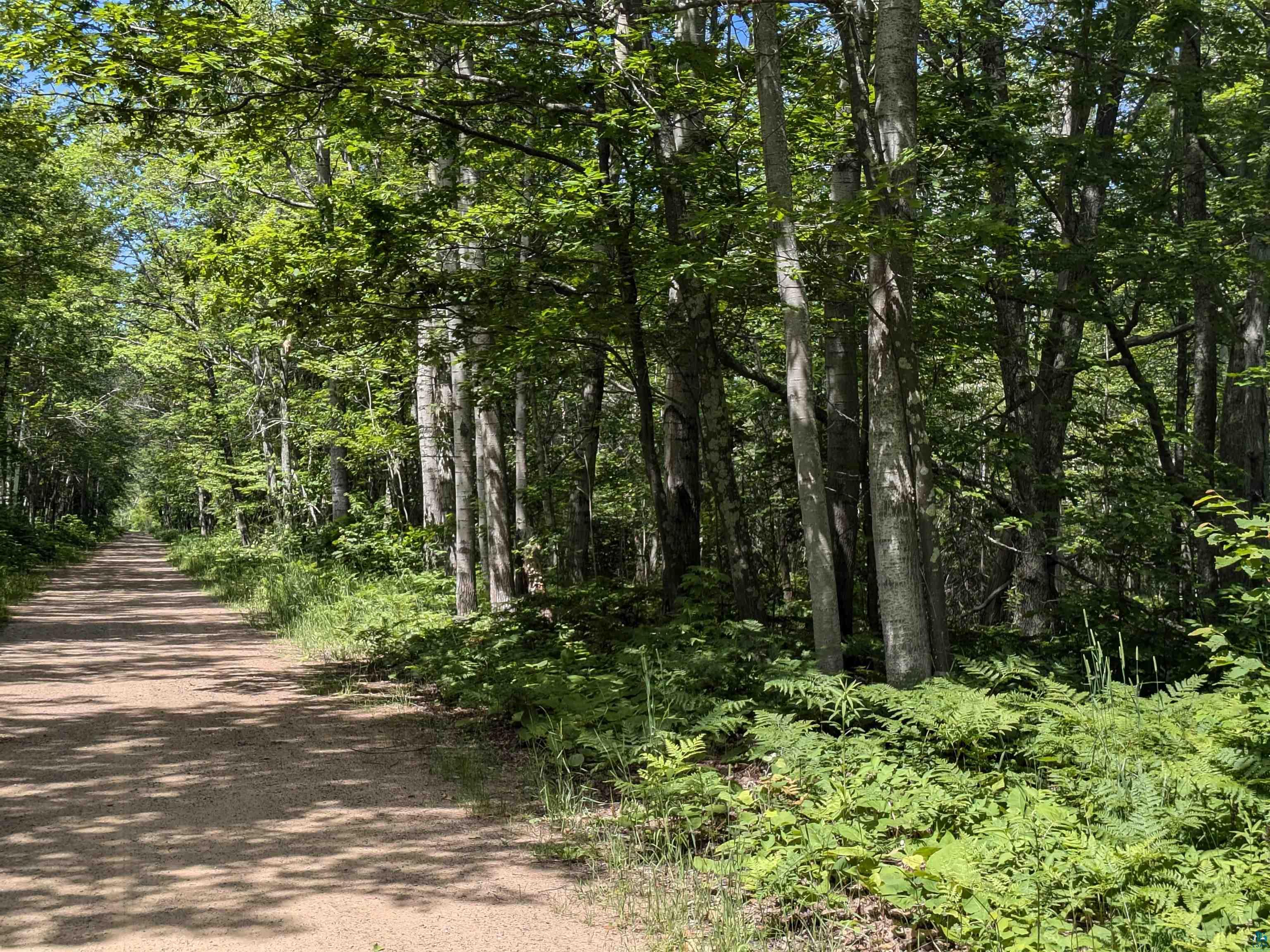 1xxxx State Highway 13, Port Wing, WI 54865 Listing Photo  4