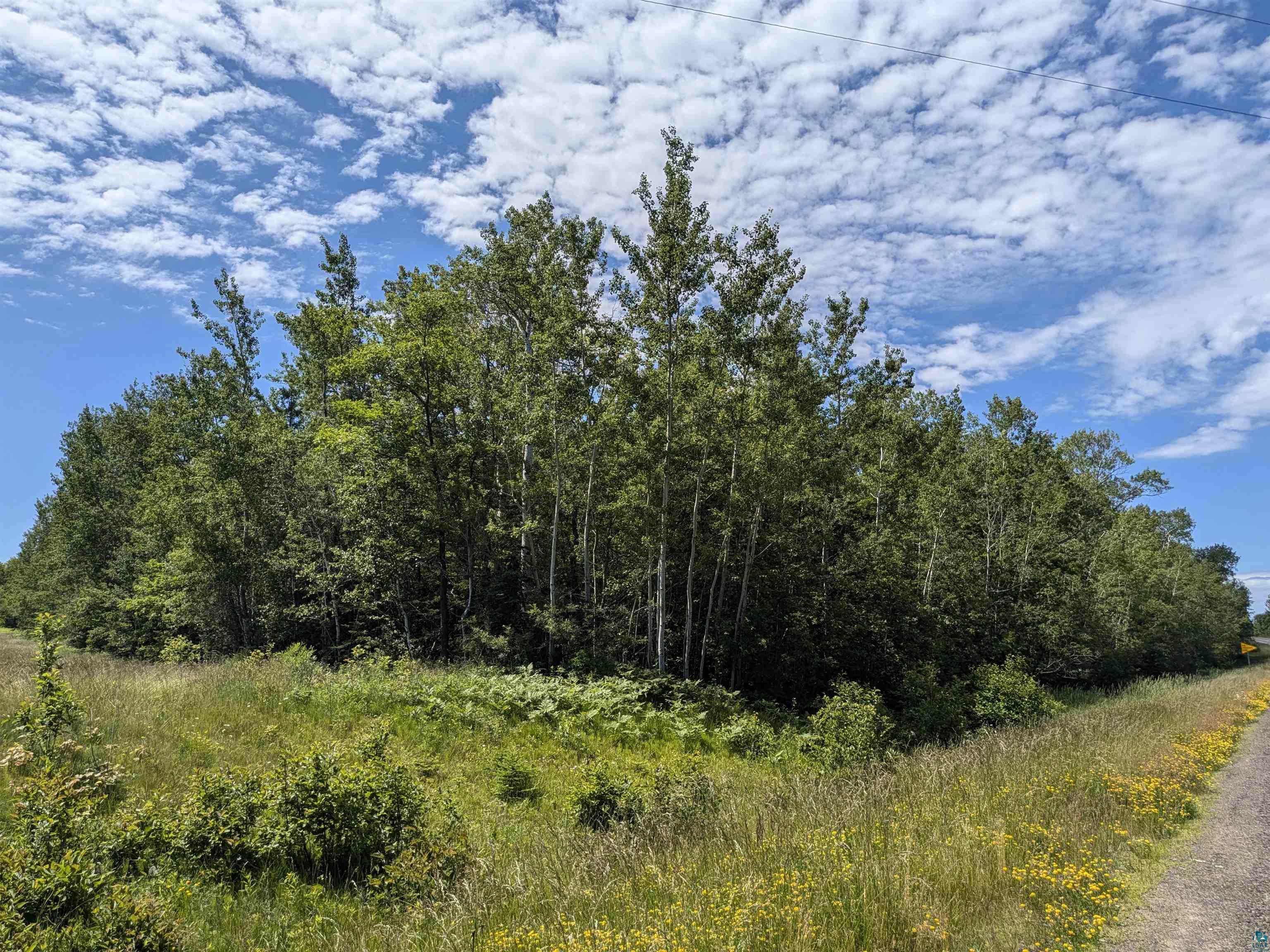 1xxxx State Highway 13, Port Wing, WI 54865 Listing Photo  5