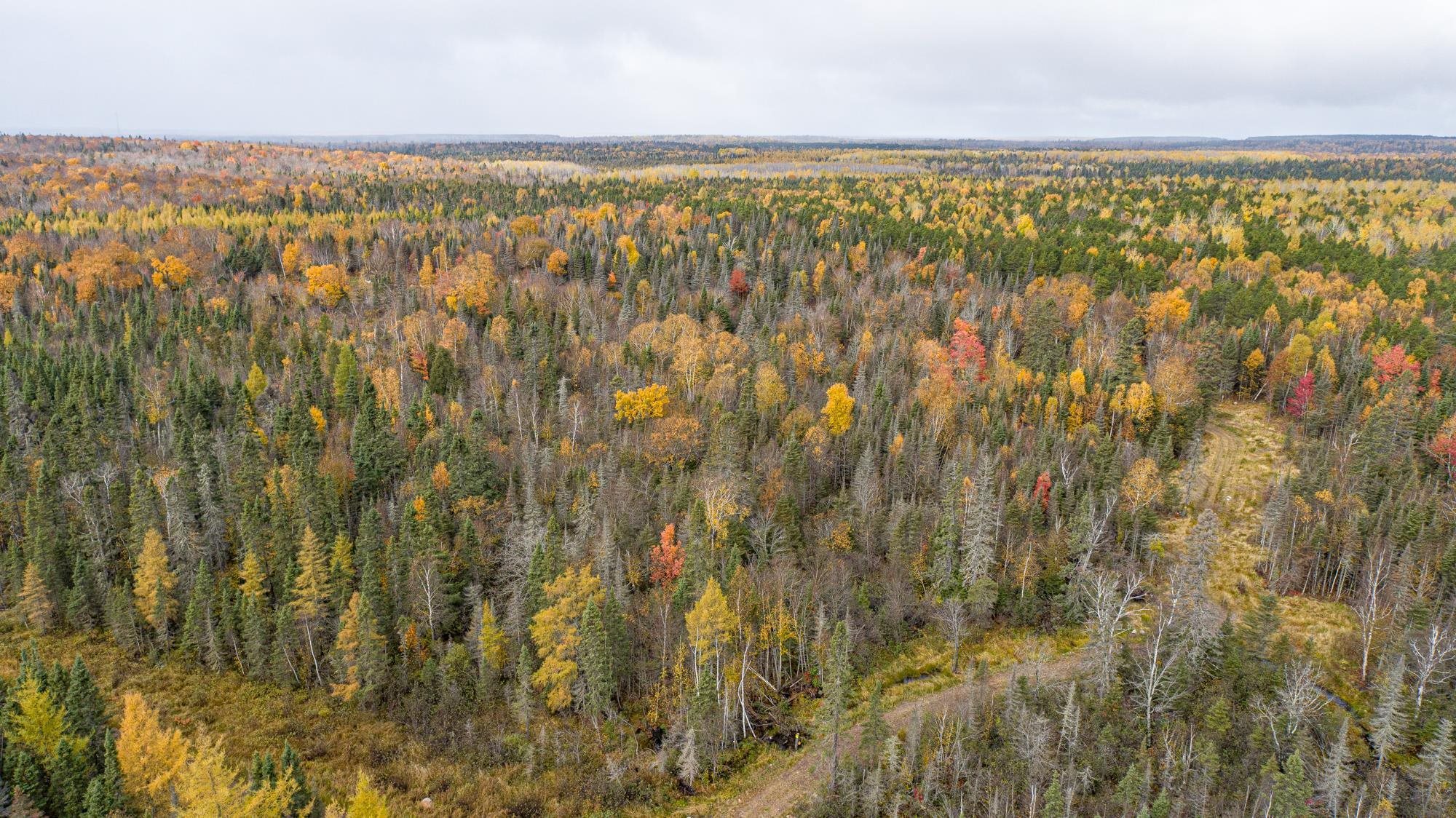 7017 Stony River Forest Rd for sale in Isabella, Minnesota, MLS ID