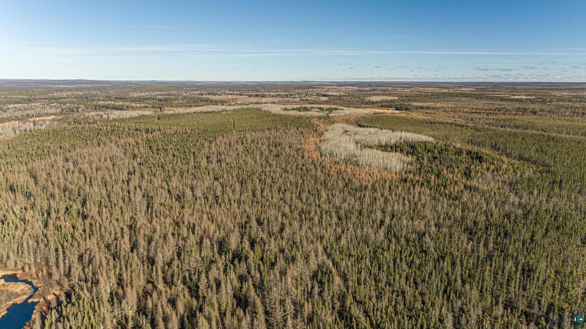 TBD Highway 2, Isabella, MN 55607 Listing Photo  17