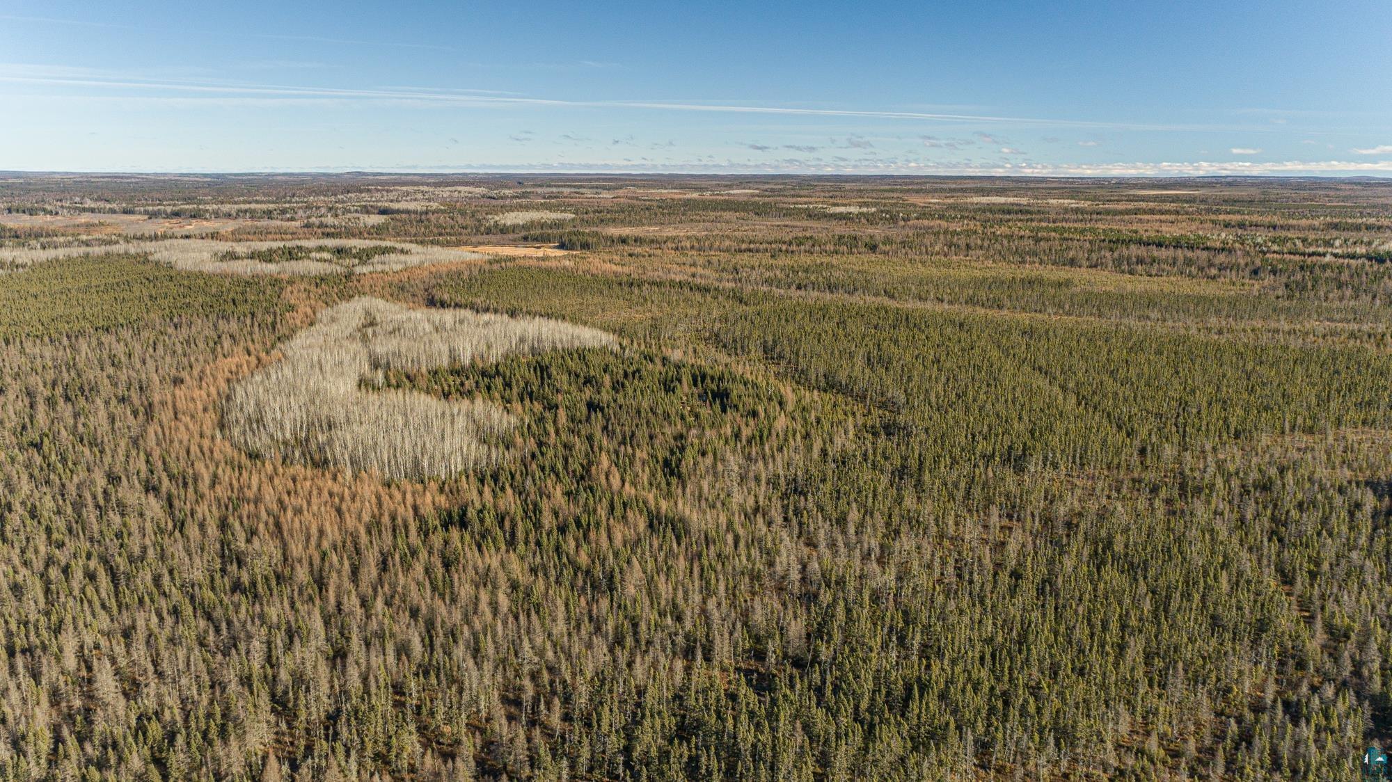 TBD Highway 2, Isabella, MN 55607 Listing Photo  19