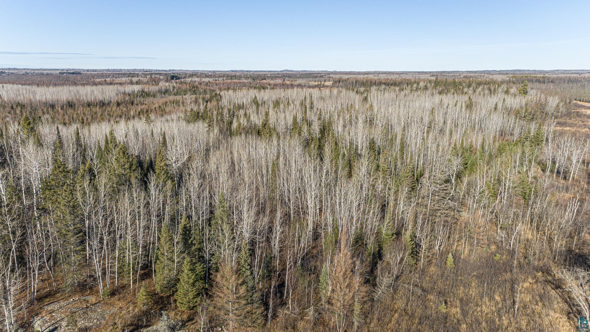 TBD Highway 2, Isabella, MN 55607 Listing Photo  28