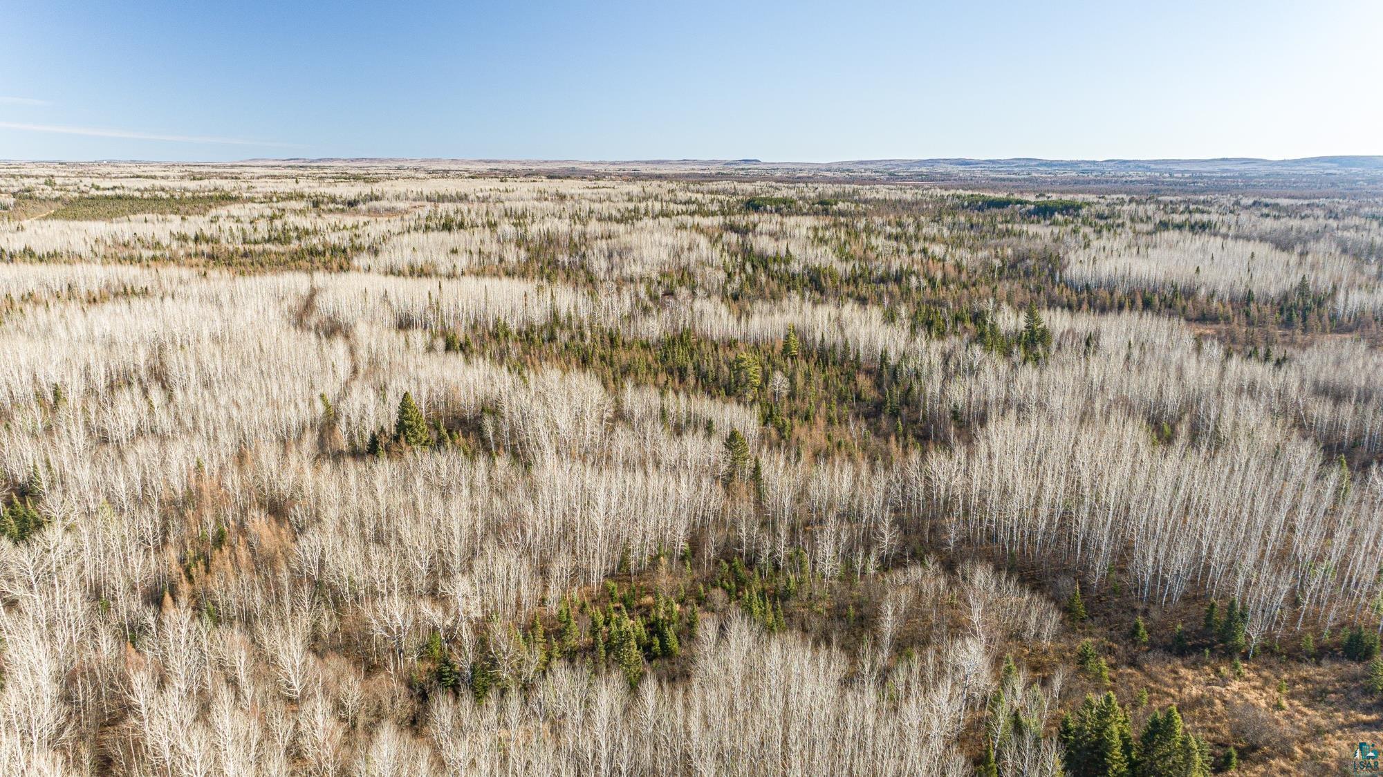 TBD Highway 2, Isabella, MN 55607 Listing Photo  34