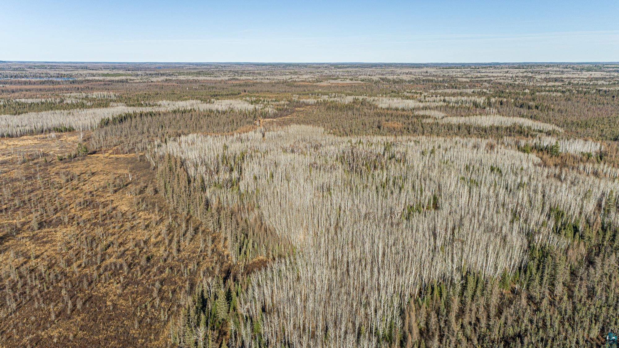 TBD Highway 2, Isabella, MN 55607 Listing Photo  40