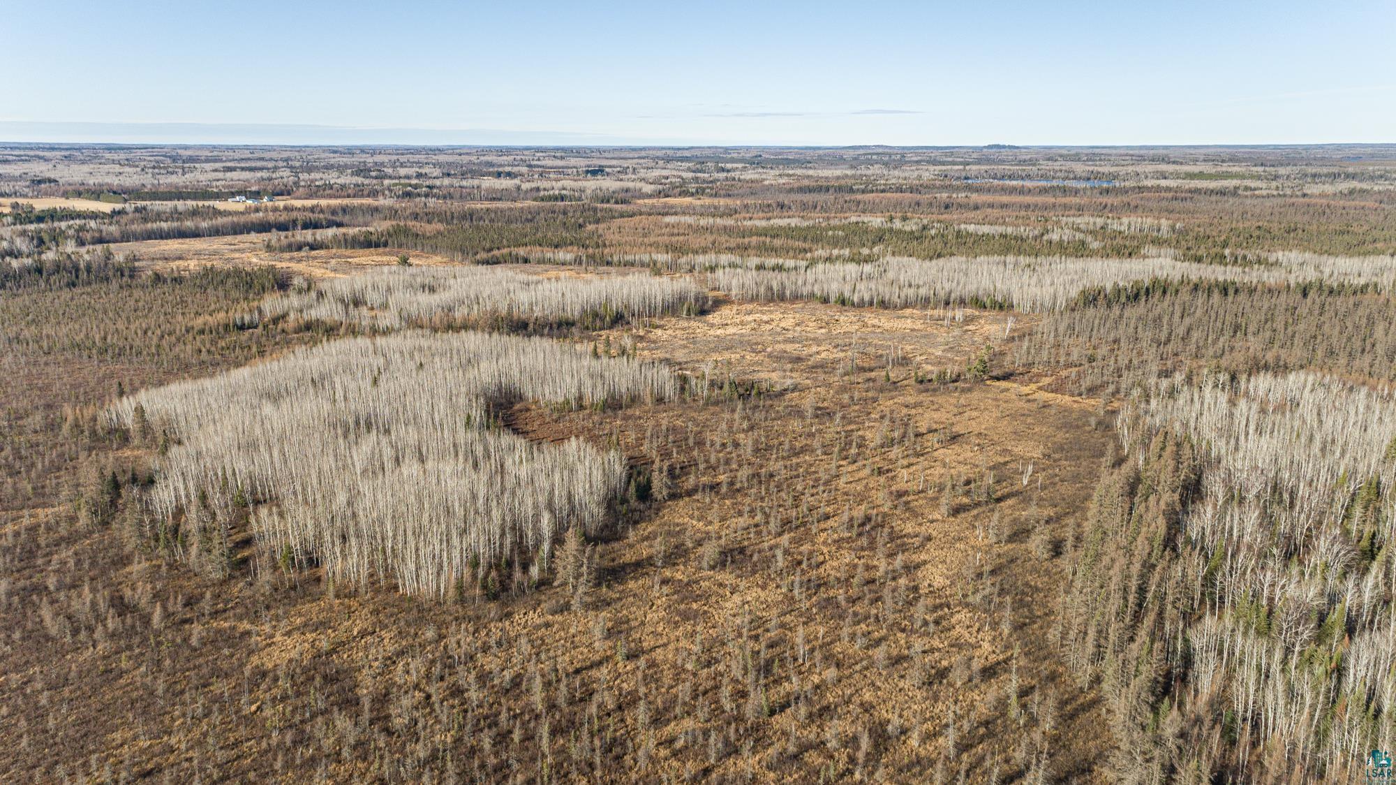 TBD Highway 2, Isabella, MN 55607 Listing Photo  41