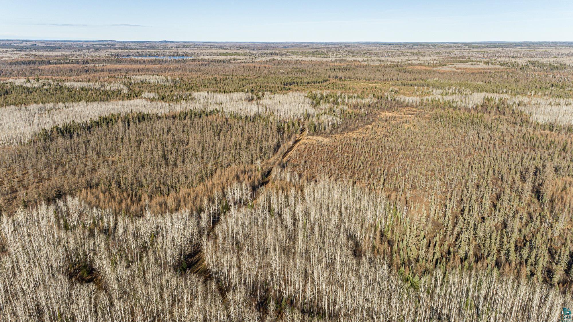 TBD Highway 2, Isabella, MN 55607 Listing Photo  44