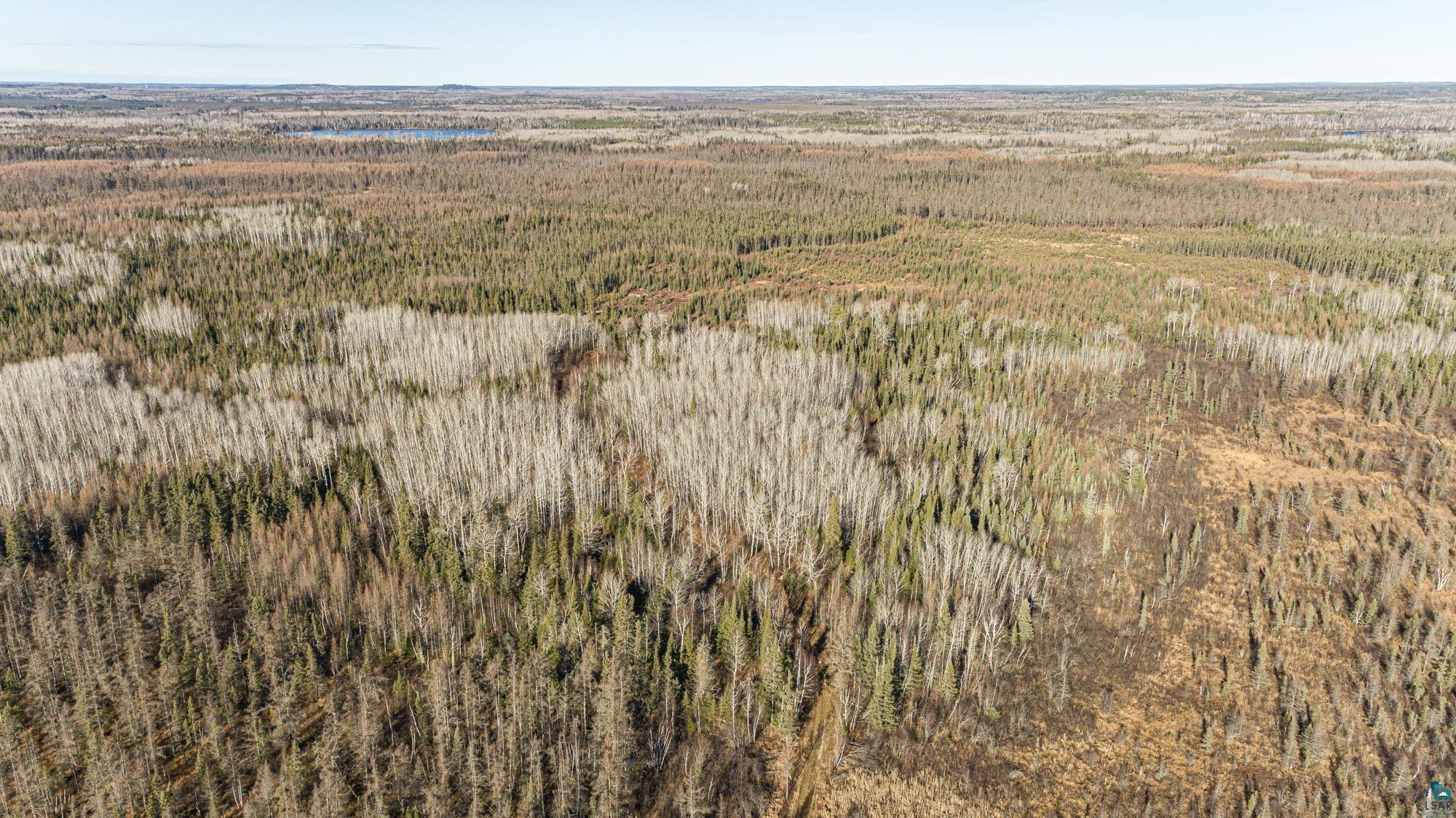 TBD Highway 2, Isabella, MN 55607 Listing Photo  45