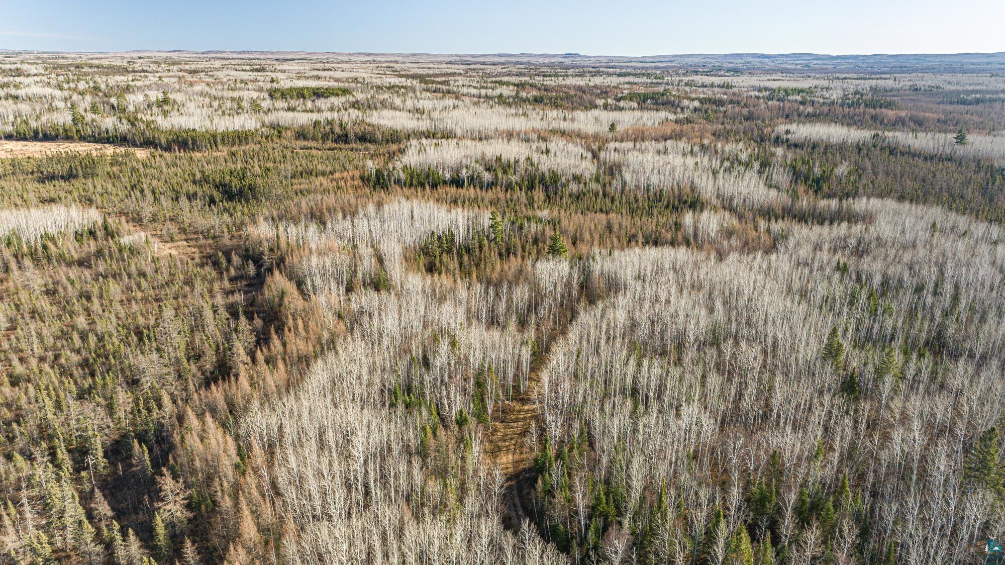 TBD Highway 2, Isabella, MN 55607 Listing Photo  48