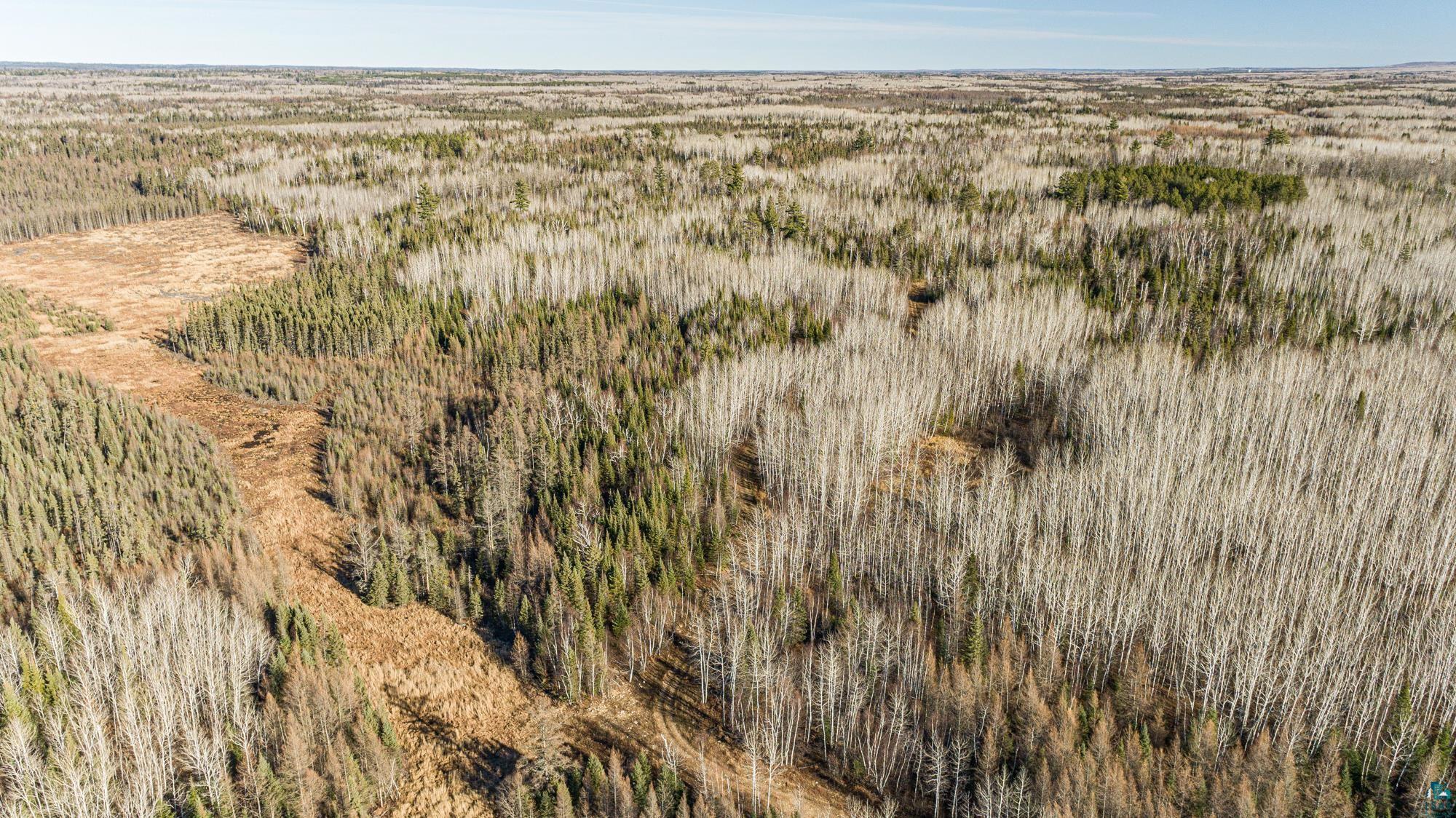 TBD Highway 2, Isabella, MN 55607 Listing Photo  50