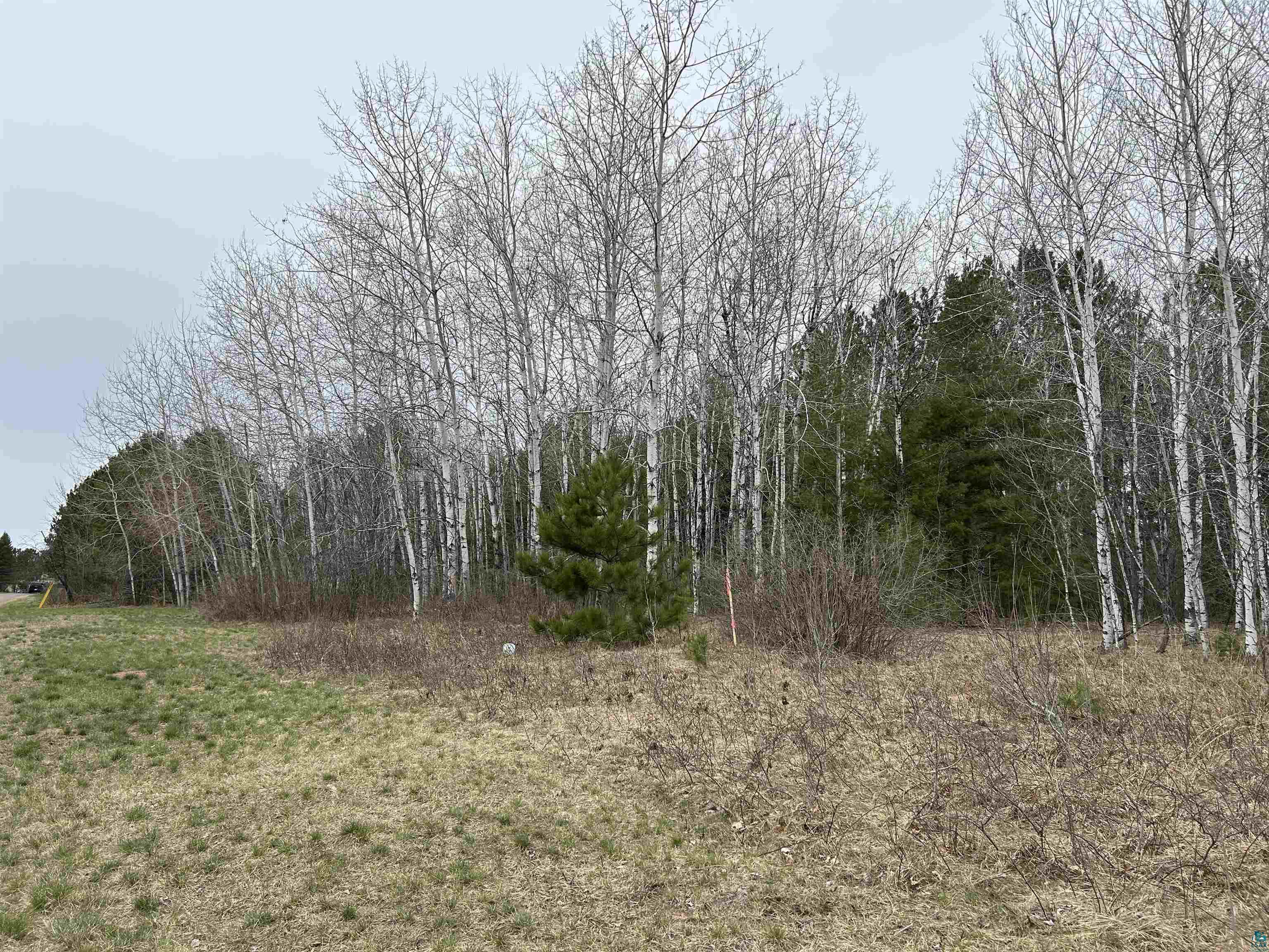Lot 4 North Shore Dr, Iron River, WI 54847 Listing Photo  4