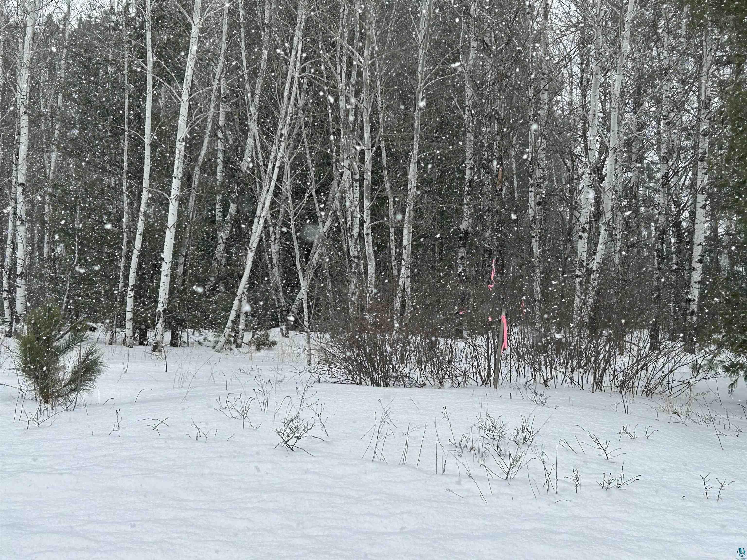 Lot 4 North Shore Dr, Iron River, WI 54847 Listing Photo  5