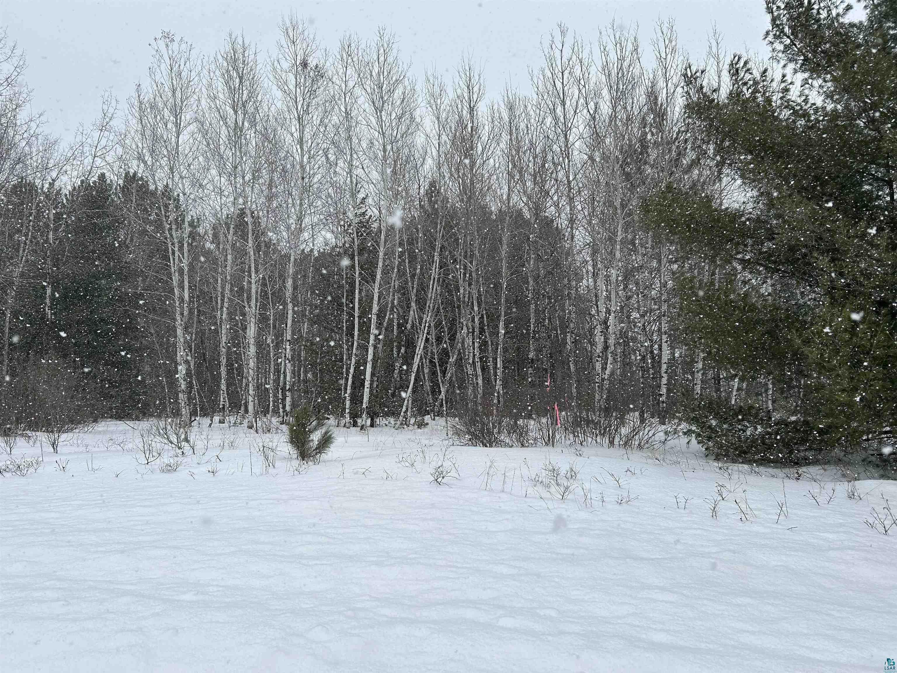Lot 4 North Shore Dr, Iron River, WI 54847 Listing Photo  9