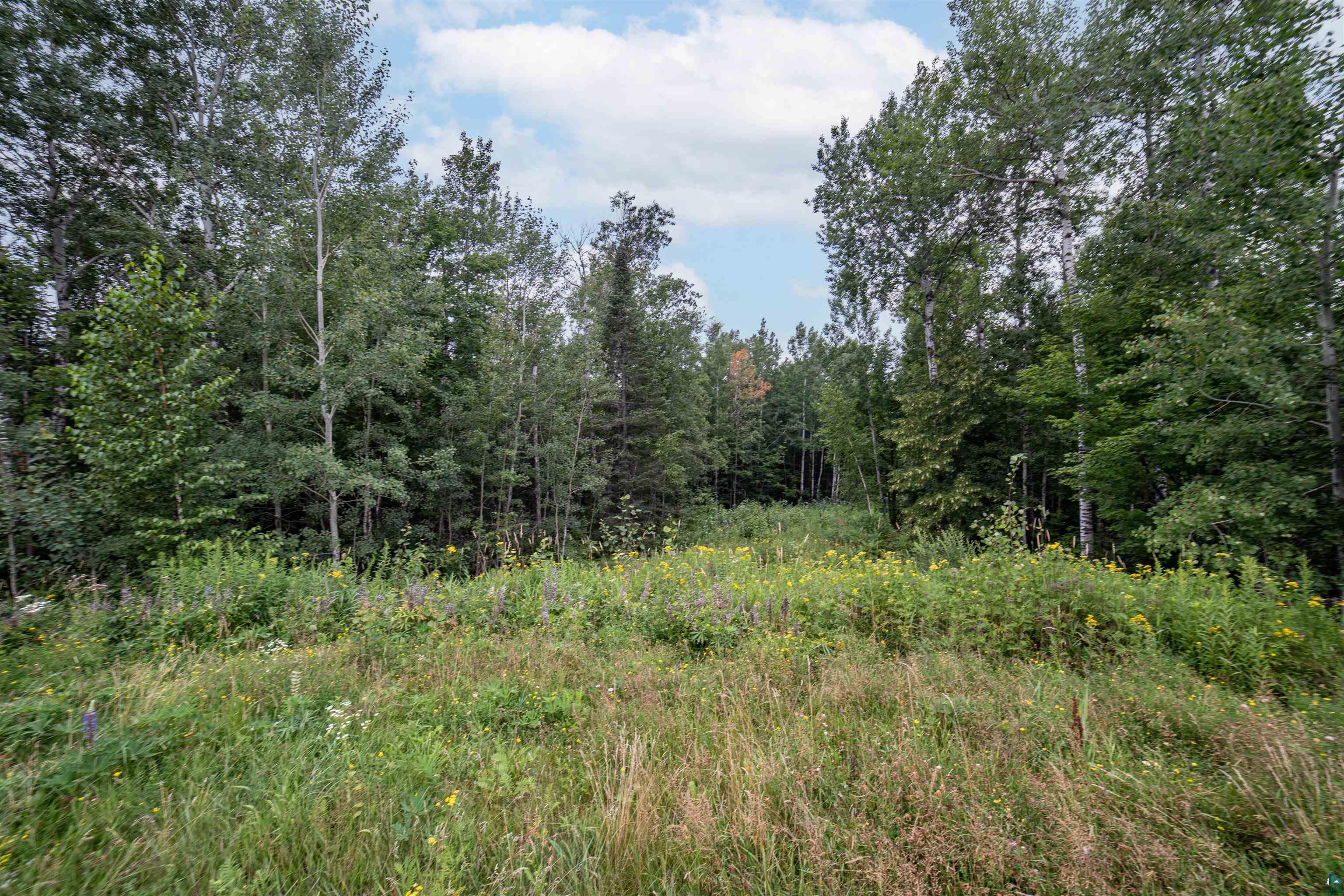45xx - Lot B1 Norway Pines Place, Hermantown, MN 55811 Listing Photo  7