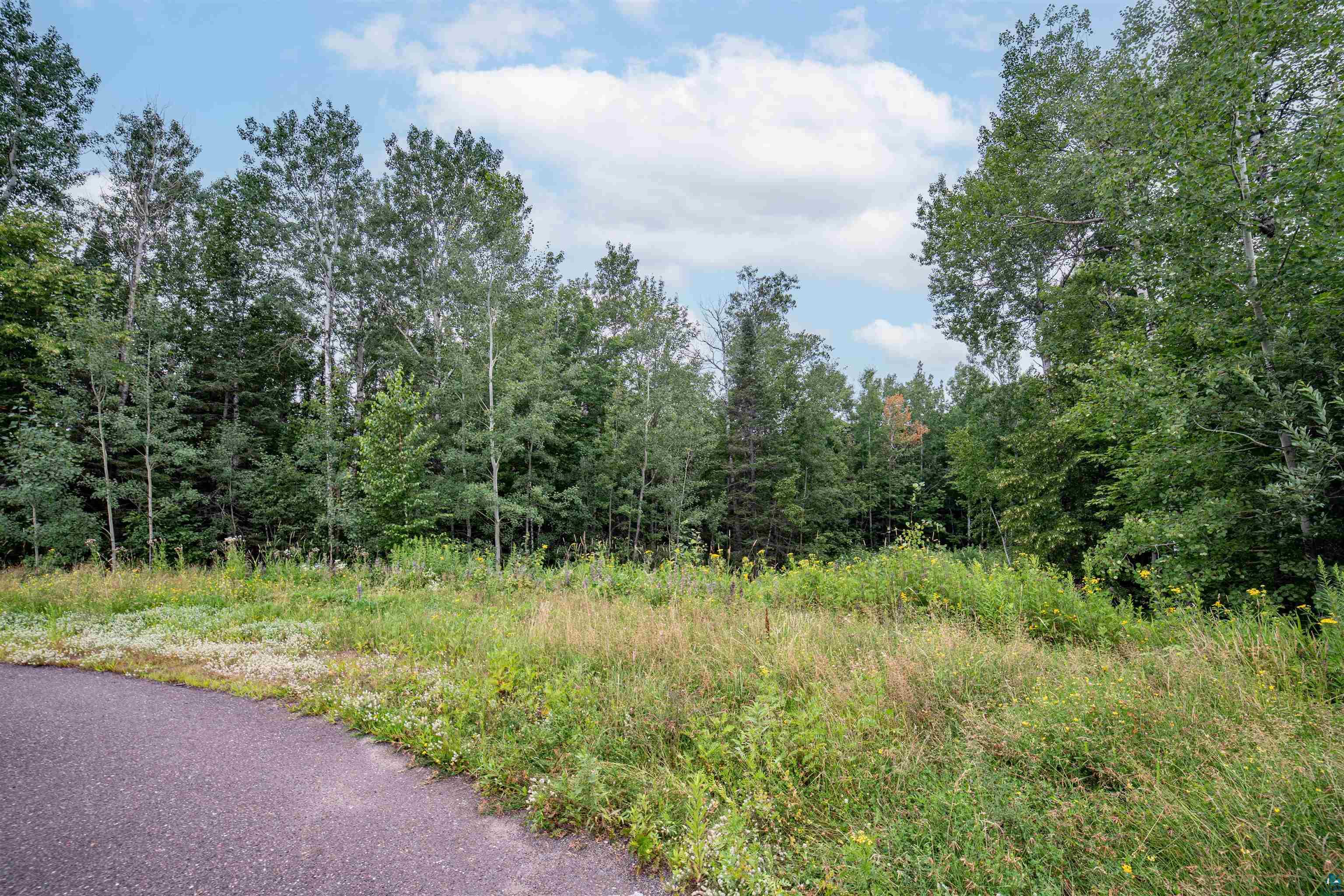 45xx - Lot B2 Norway Pines Place, Hermantown, MN 55811 Listing Photo  6