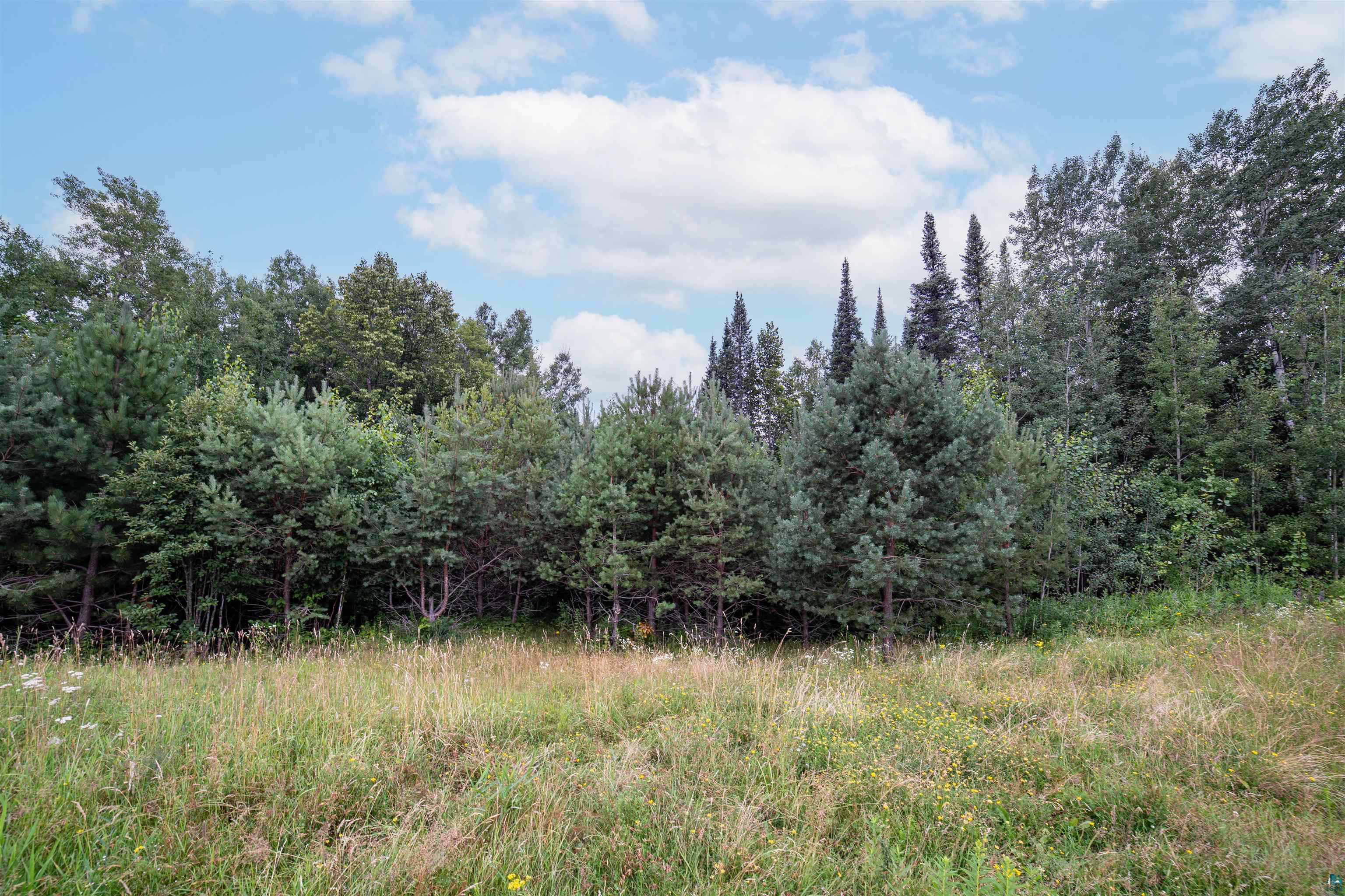 45xx - Lot B2 Norway Pines Place, Hermantown, MN 55811 Listing Photo  8