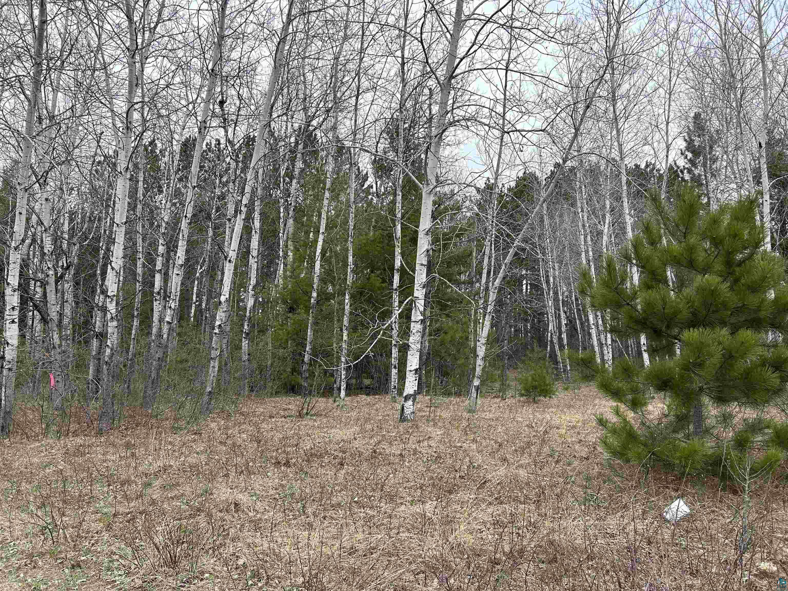 Lot 3 North Shore Dr, Iron River, WI 54847 Listing Photo  11