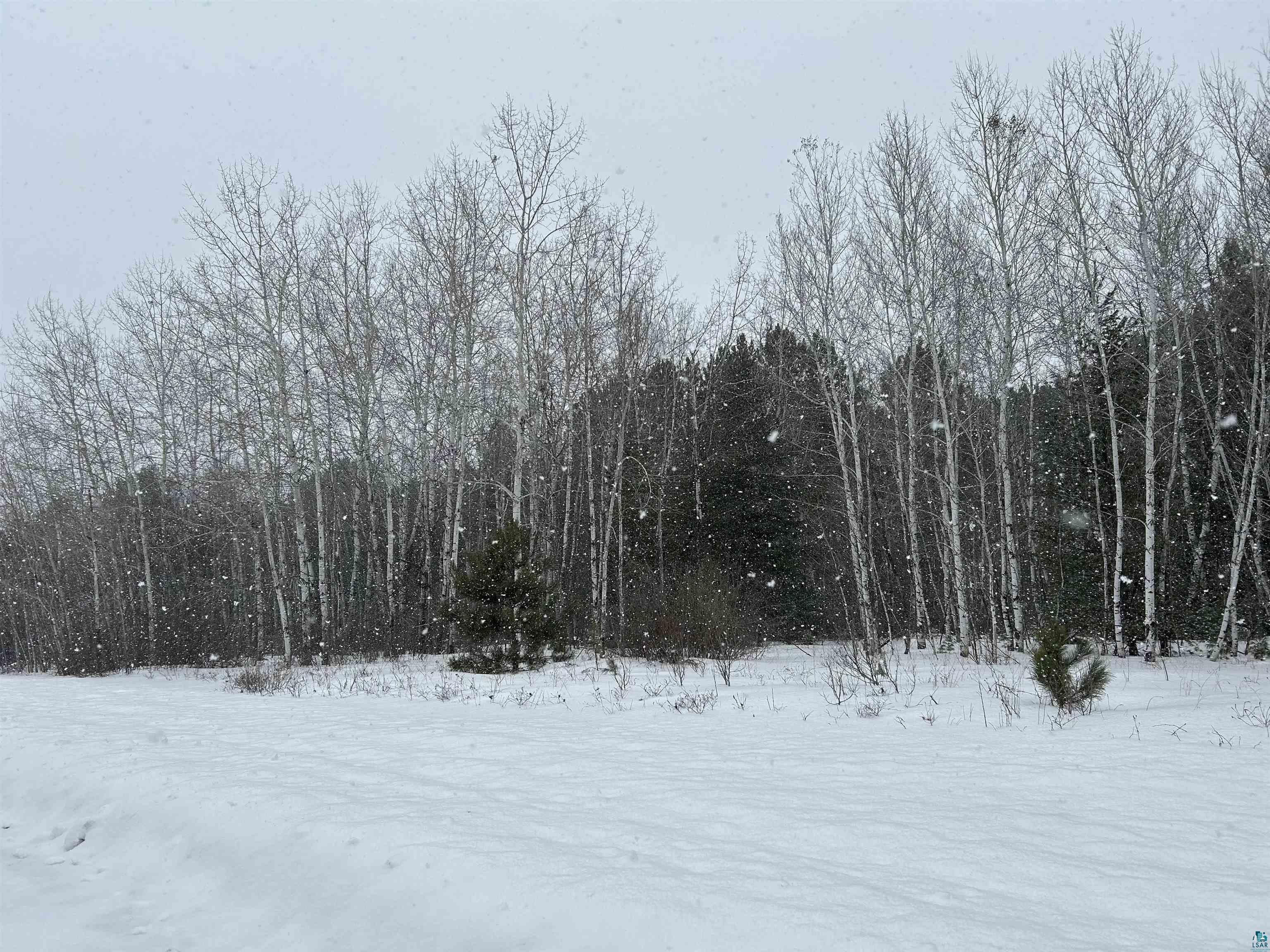 Lot 3 North Shore Dr, Iron River, WI 54847 Listing Photo  14