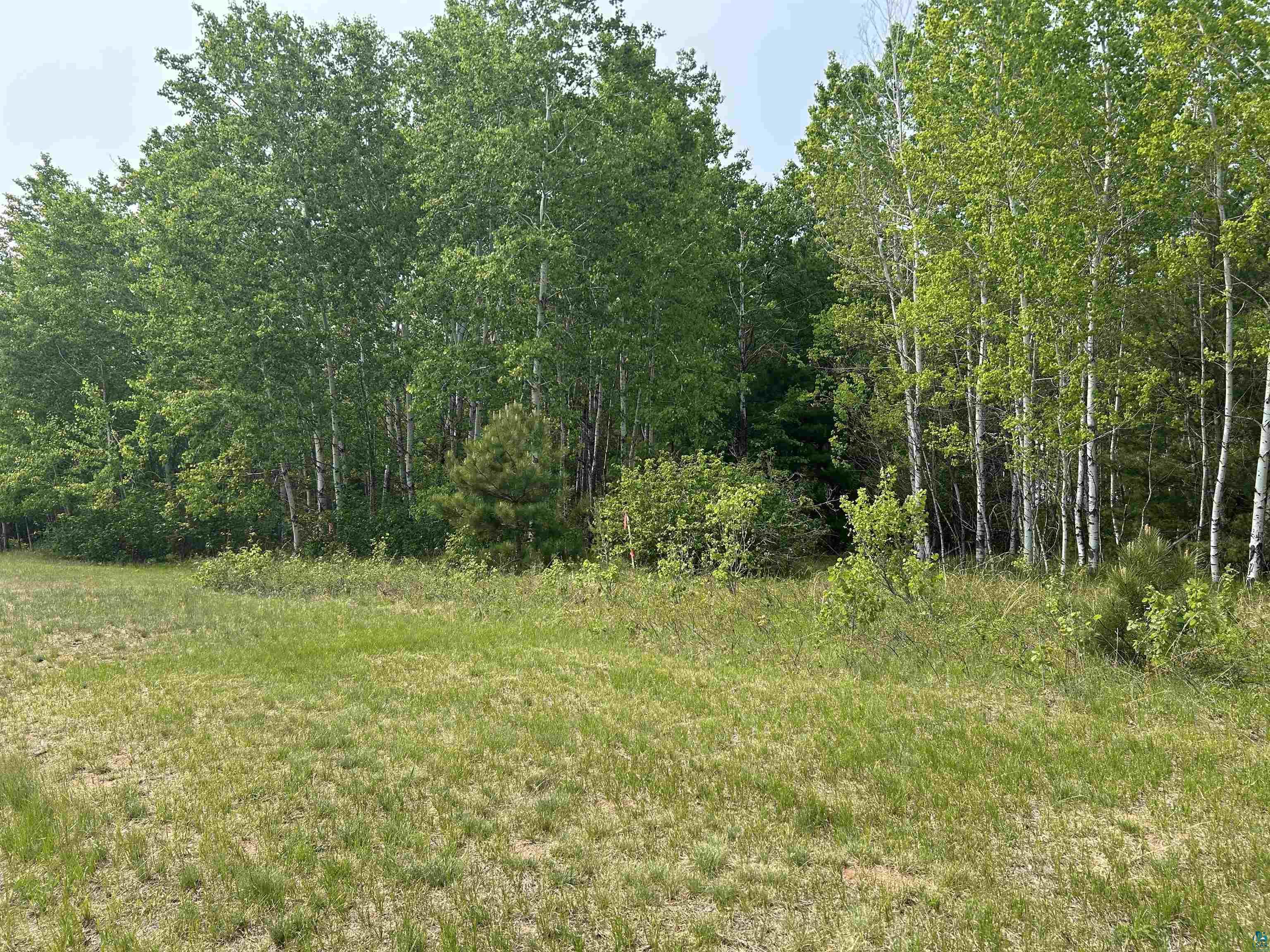 Lot 3 North Shore Dr, Iron River, WI 54847 Listing Photo  5