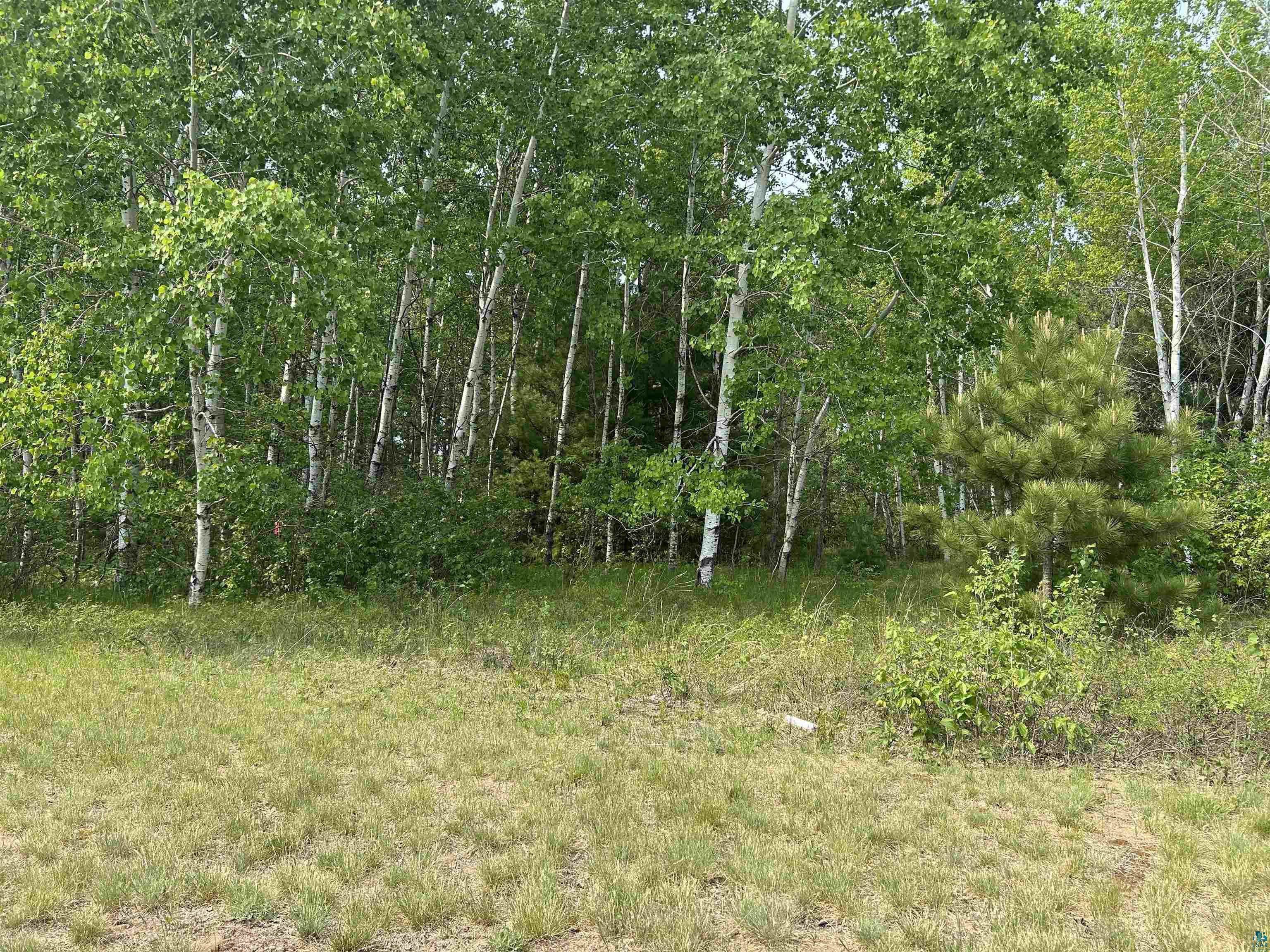 Lot 3 North Shore Dr, Iron River, WI 54847 Listing Photo  6