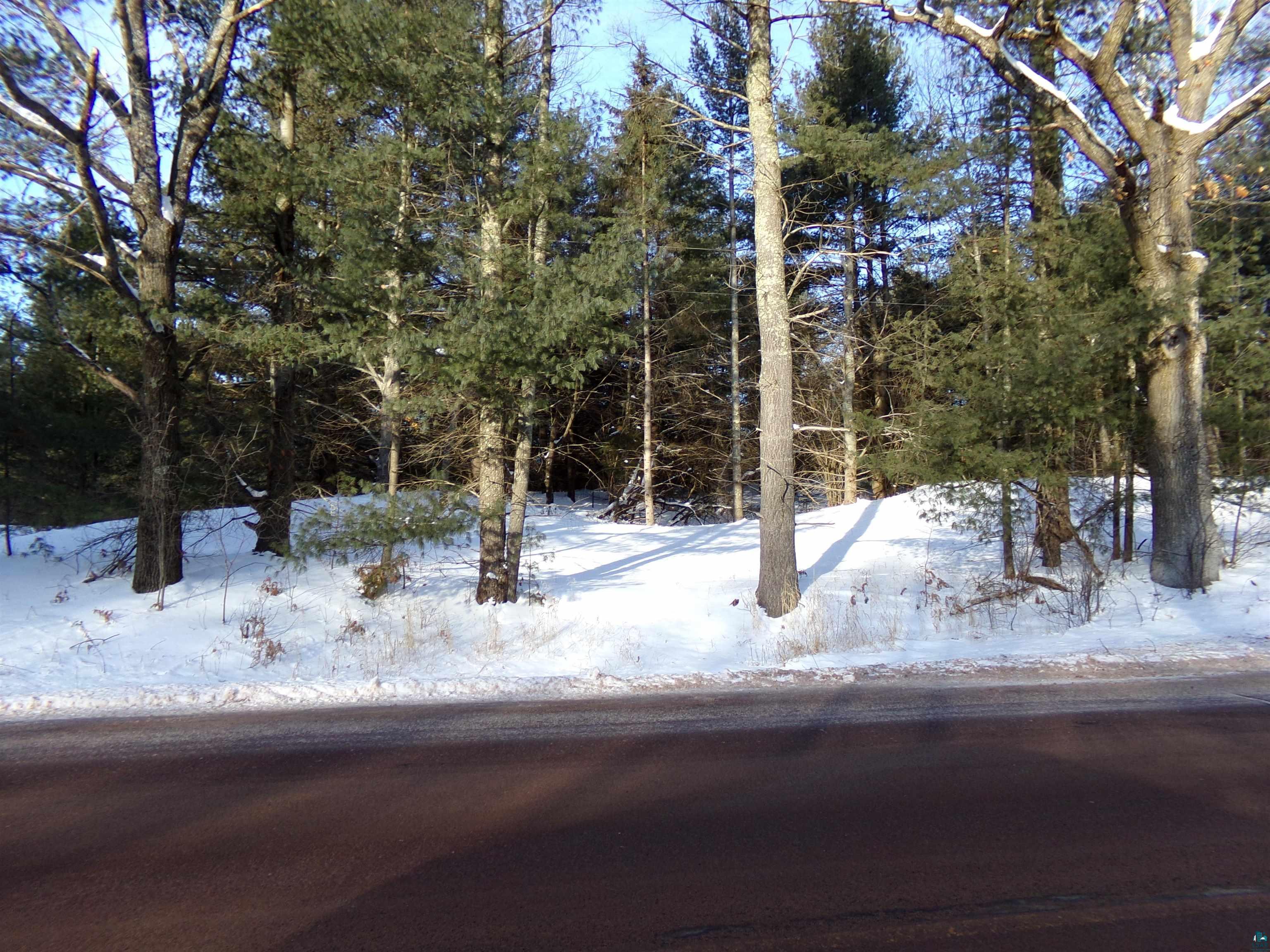TBD S County Rd F, Lake Nebagamon, WI 54849 Listing Photo  4