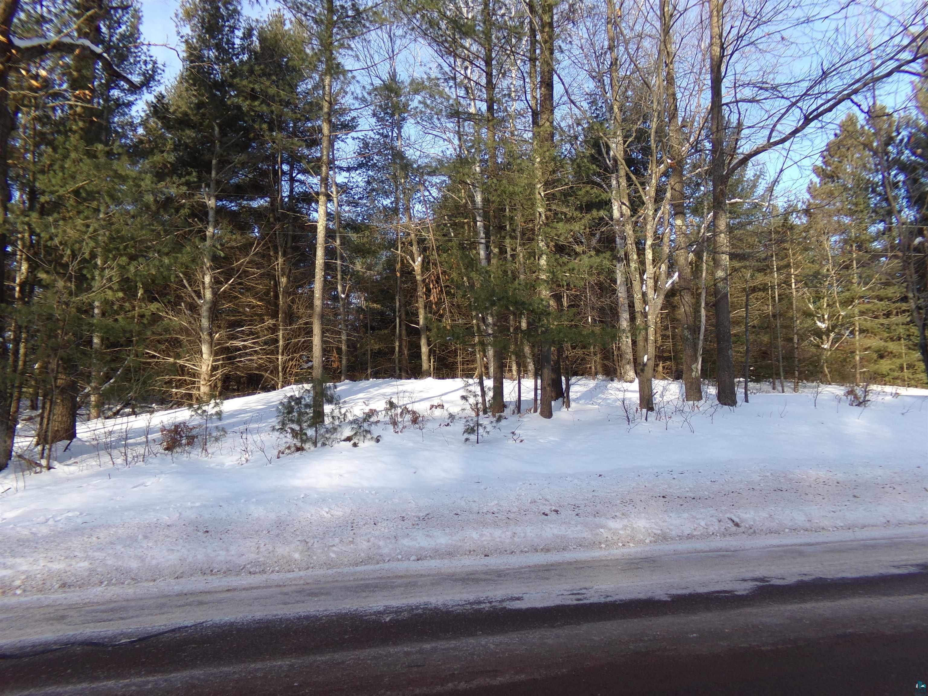 TBD S County Rd F, Lake Nebagamon, WI 54849 Listing Photo  6