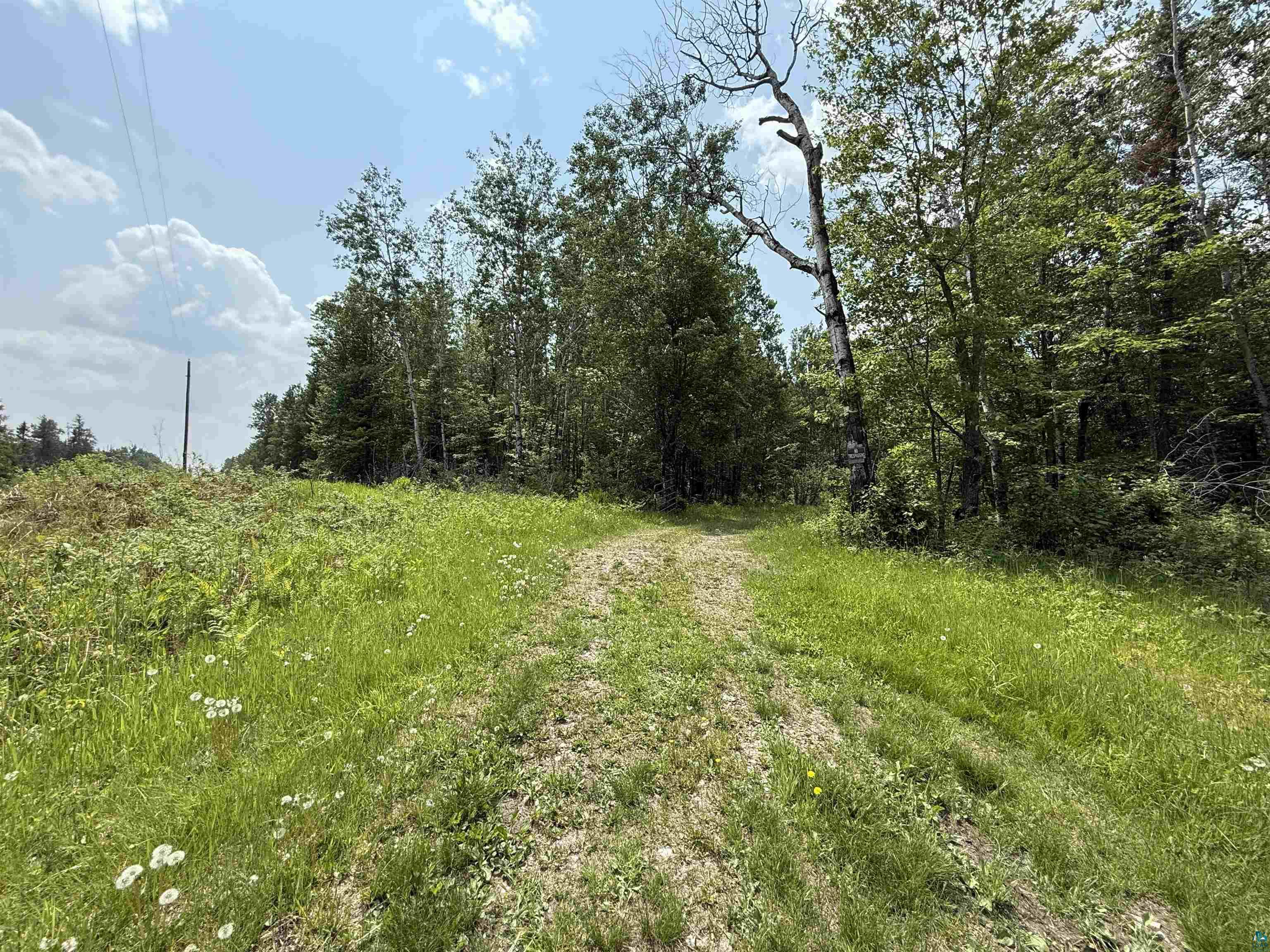 TBD Samuelson Rd, Angora, MN 55703 Listing Photo  1