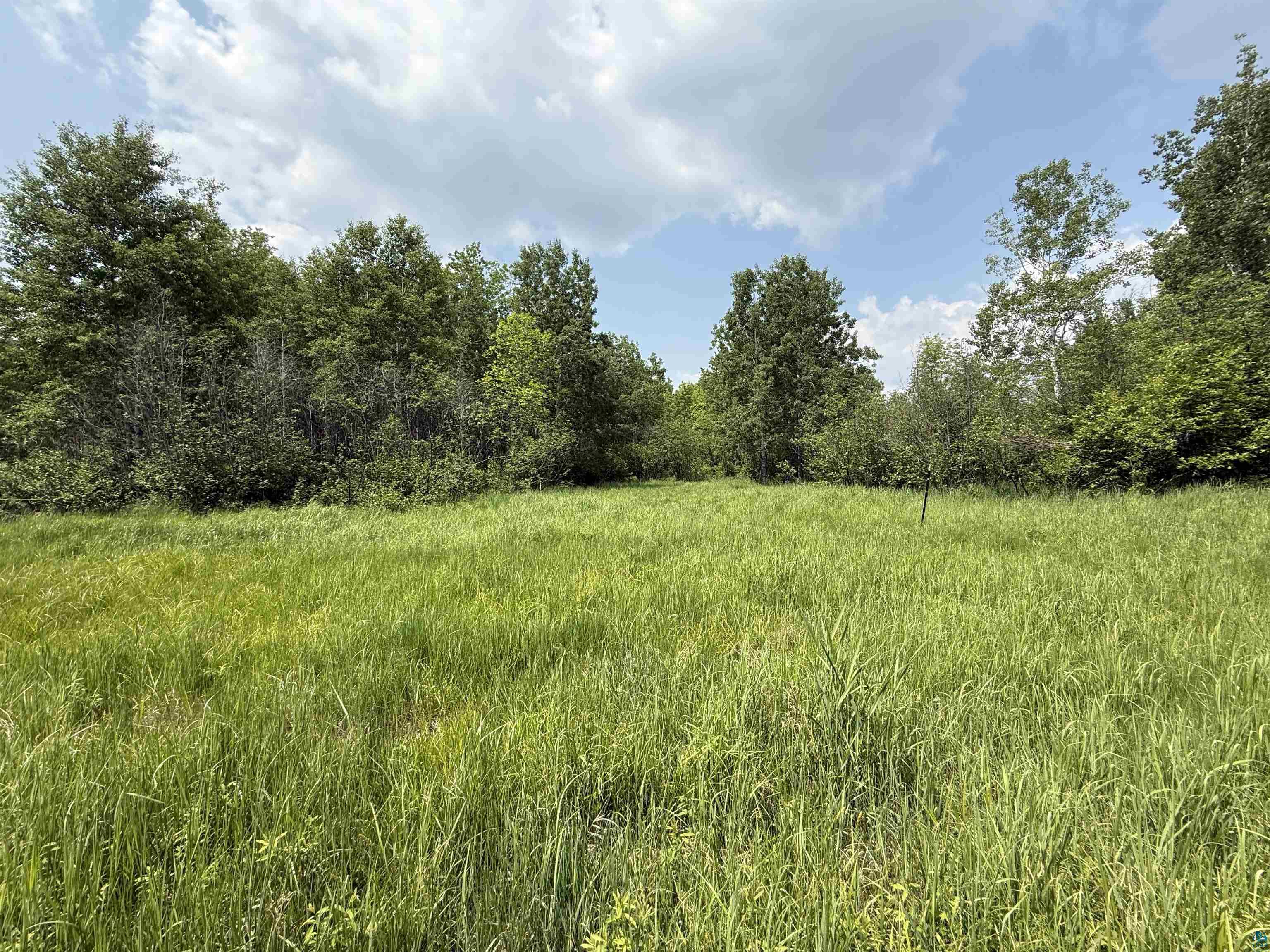 TBD Samuelson Rd, Angora, MN 55703 Listing Photo  11