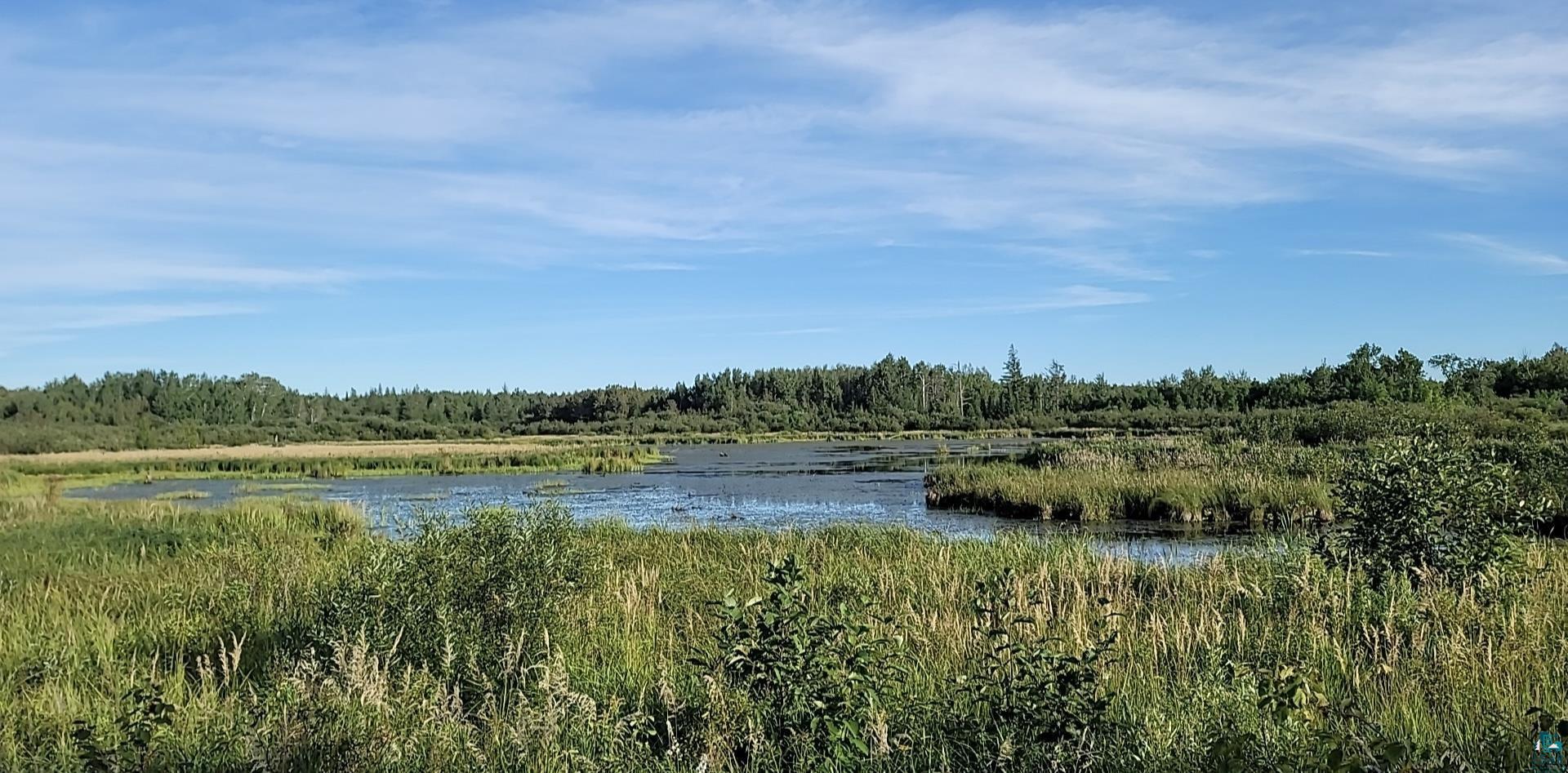 TBD Samuelson Rd, Angora, MN 55703 Listing Photo  14