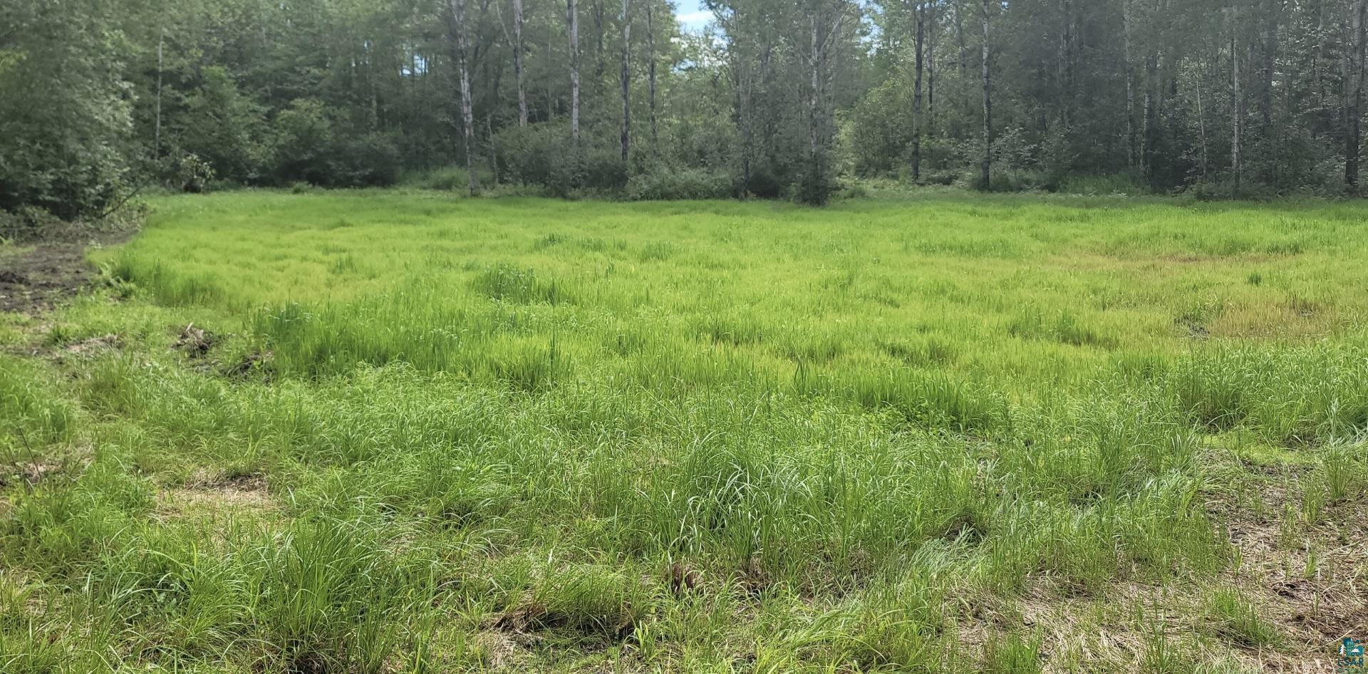 TBD Samuelson Rd, Angora, MN 55703 Listing Photo  16