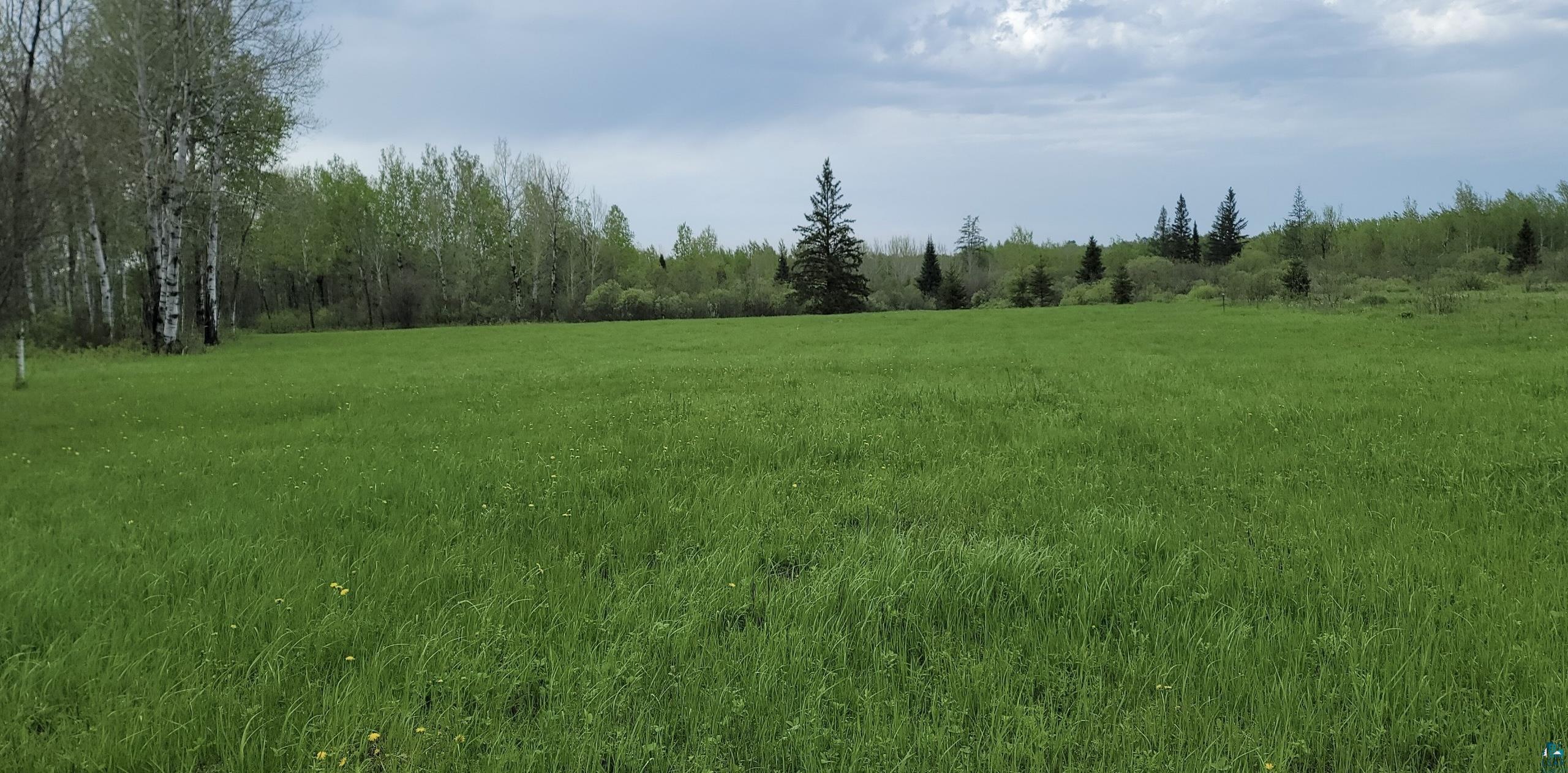 TBD Samuelson Rd, Angora, MN 55703 Listing Photo  17