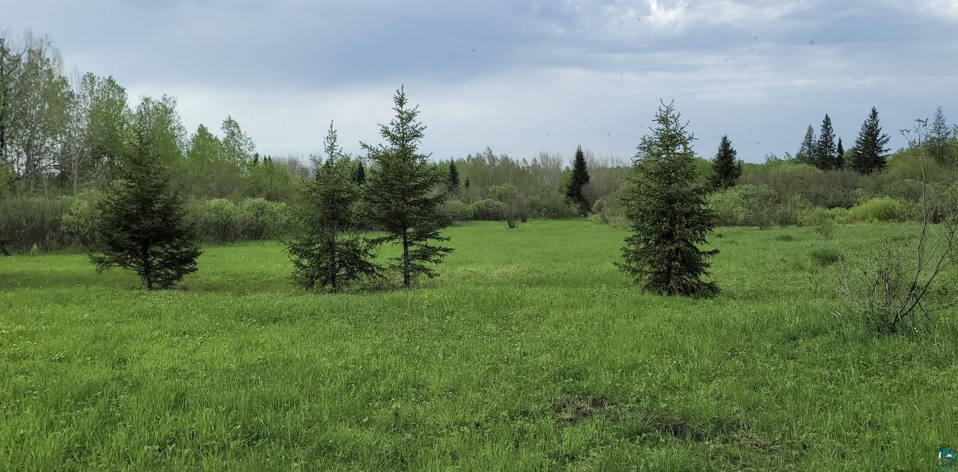 TBD Samuelson Rd, Angora, MN 55703 Listing Photo  18