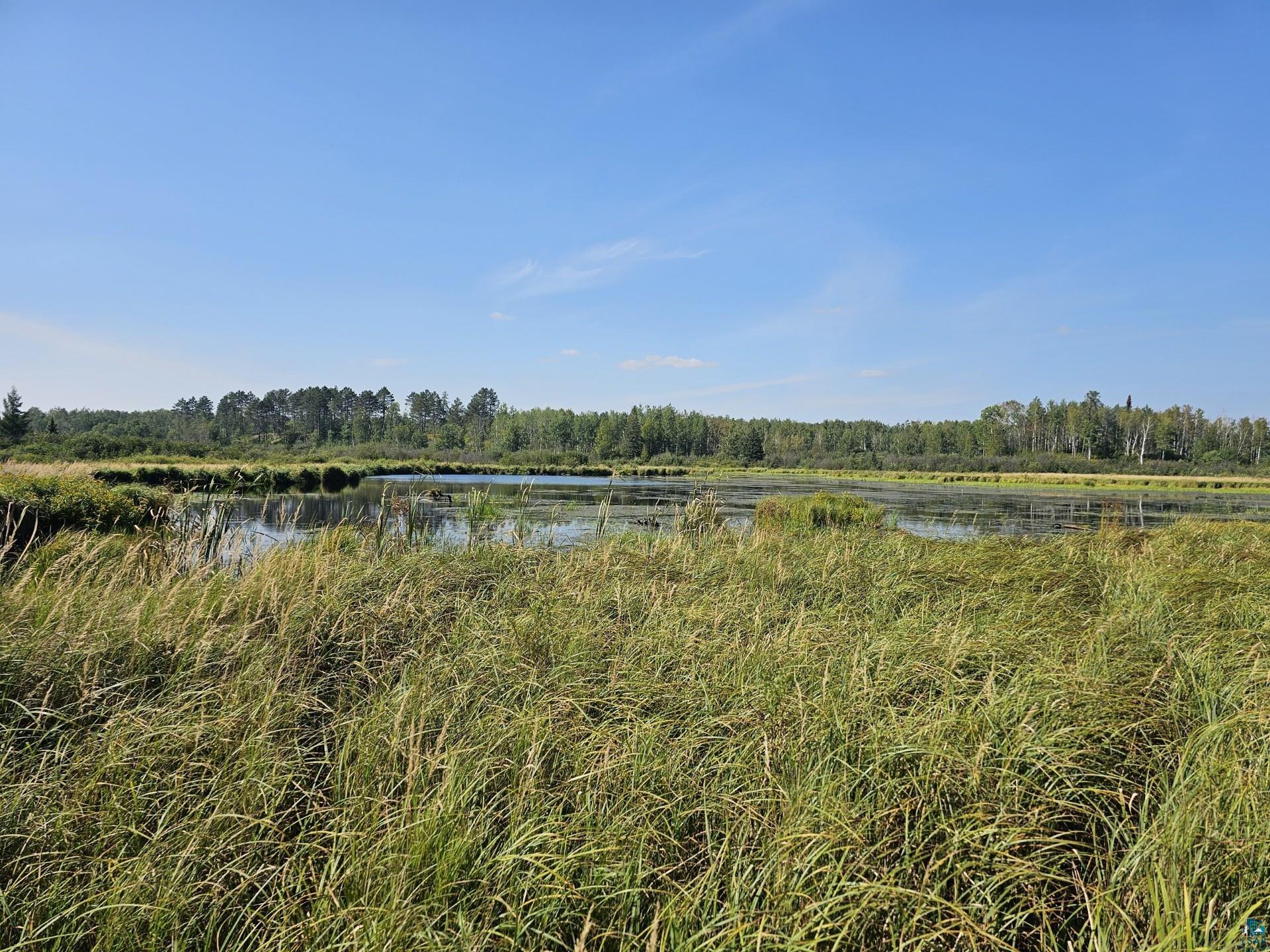 TBD Samuelson Rd, Angora, MN 55703 Listing Photo  20