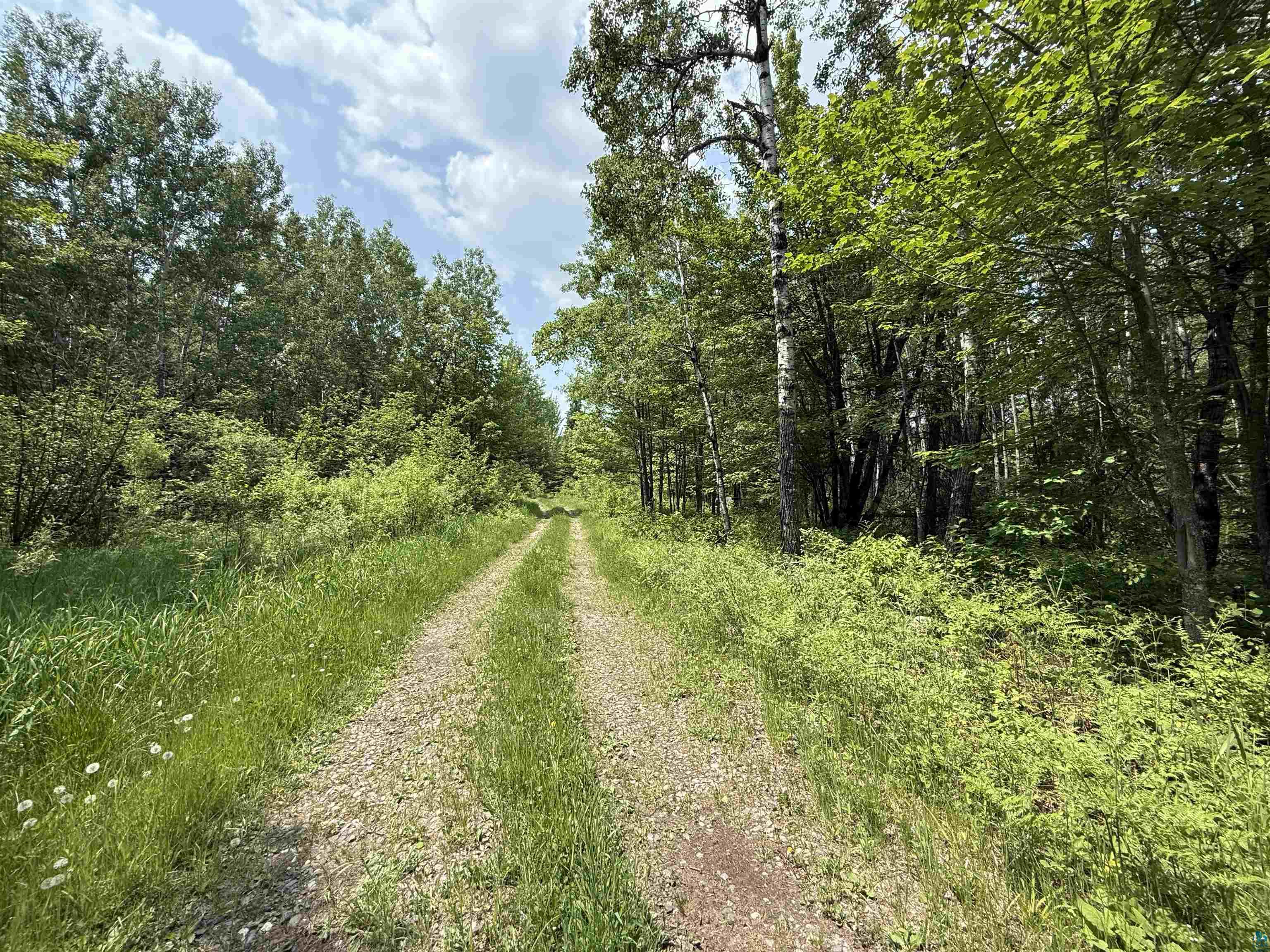 TBD Samuelson Rd, Angora, MN 55703 Listing Photo  3
