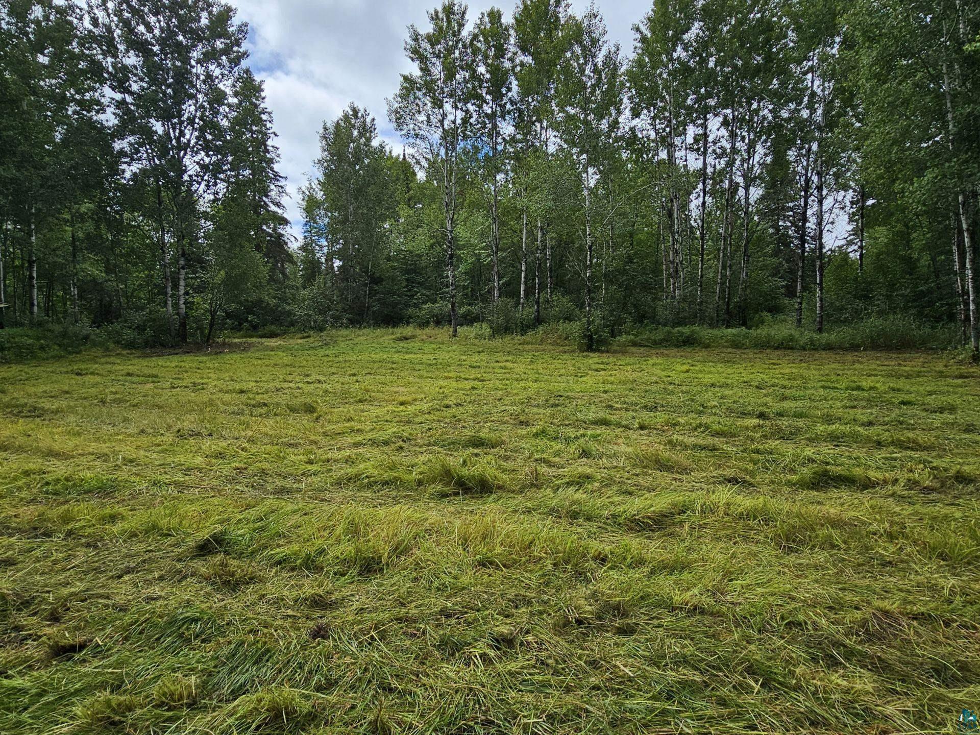TBD Samuelson Rd, Angora, MN 55703 Listing Photo  21